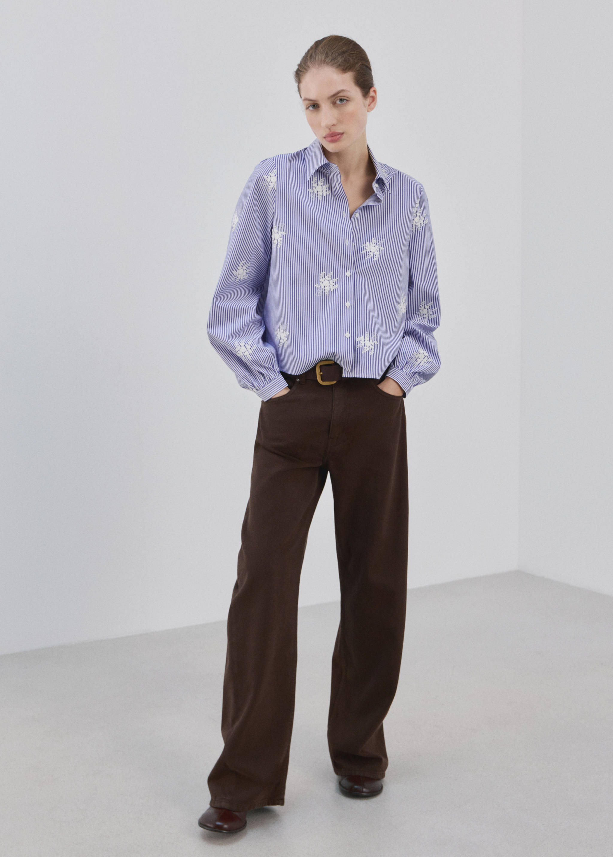 Embroidery striped shirt - General plane