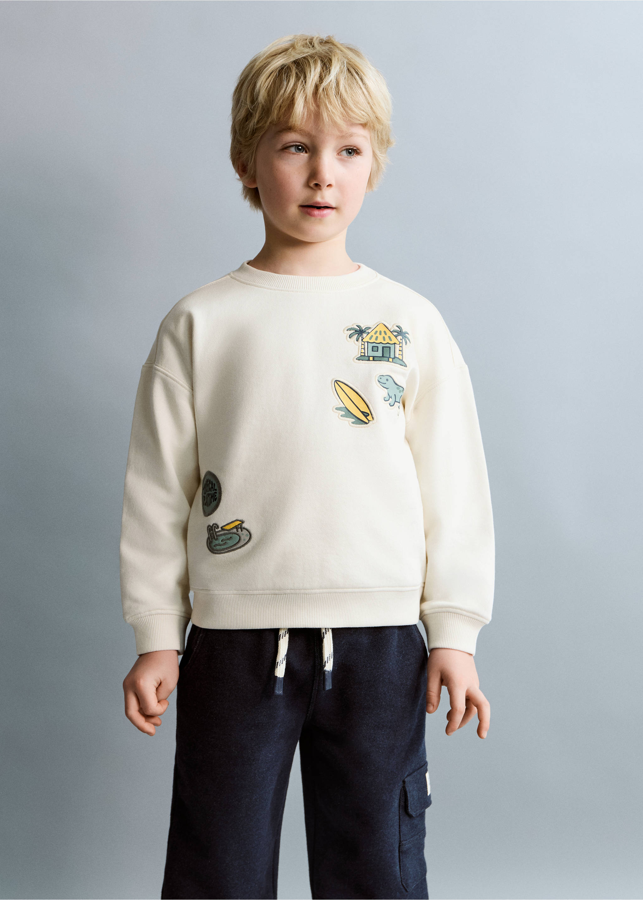 Sudadera algodón parches bordados - Plano general, Gris hielo. Ref: 27026344-00.