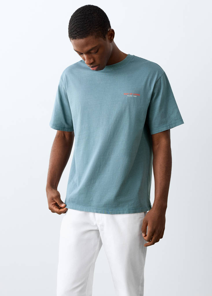 Short-sleeved printed t-shirt — Blue