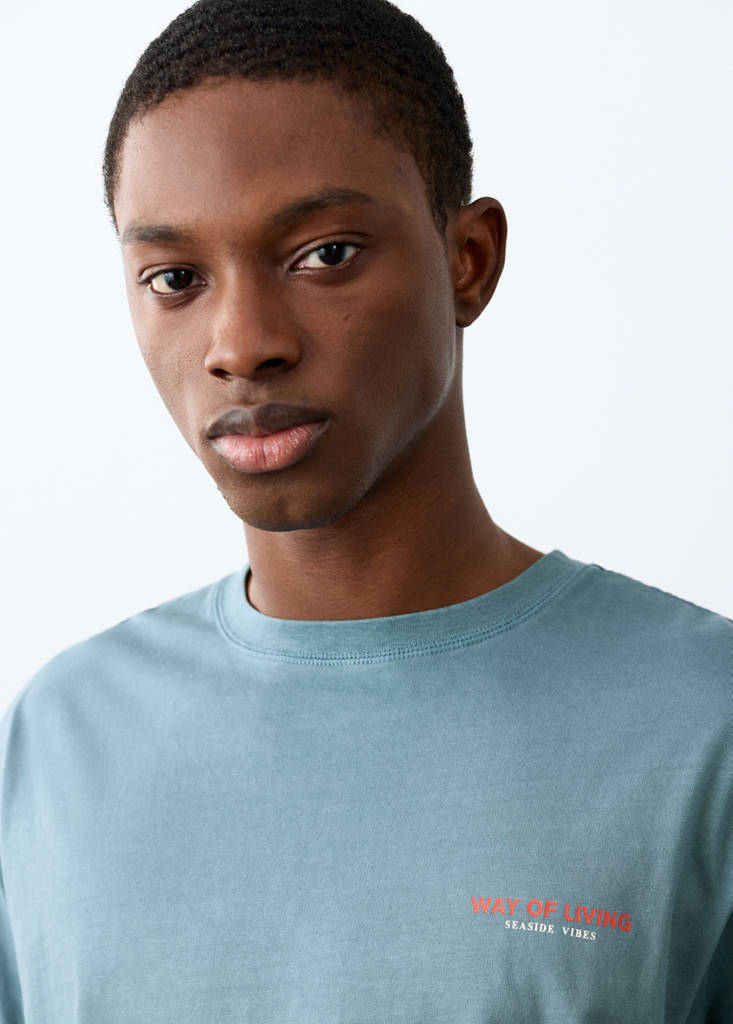 Short-sleeved printed t-shirt — Blue