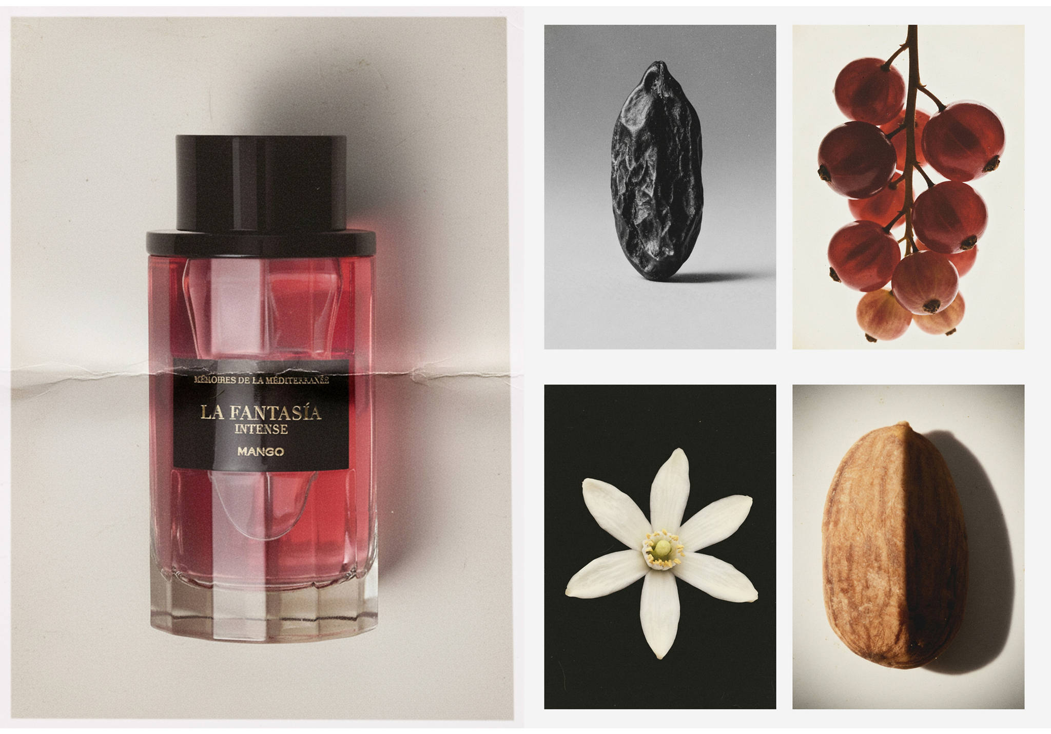 Parfum La Fantasía Intense 100 ml - Plan panoramique