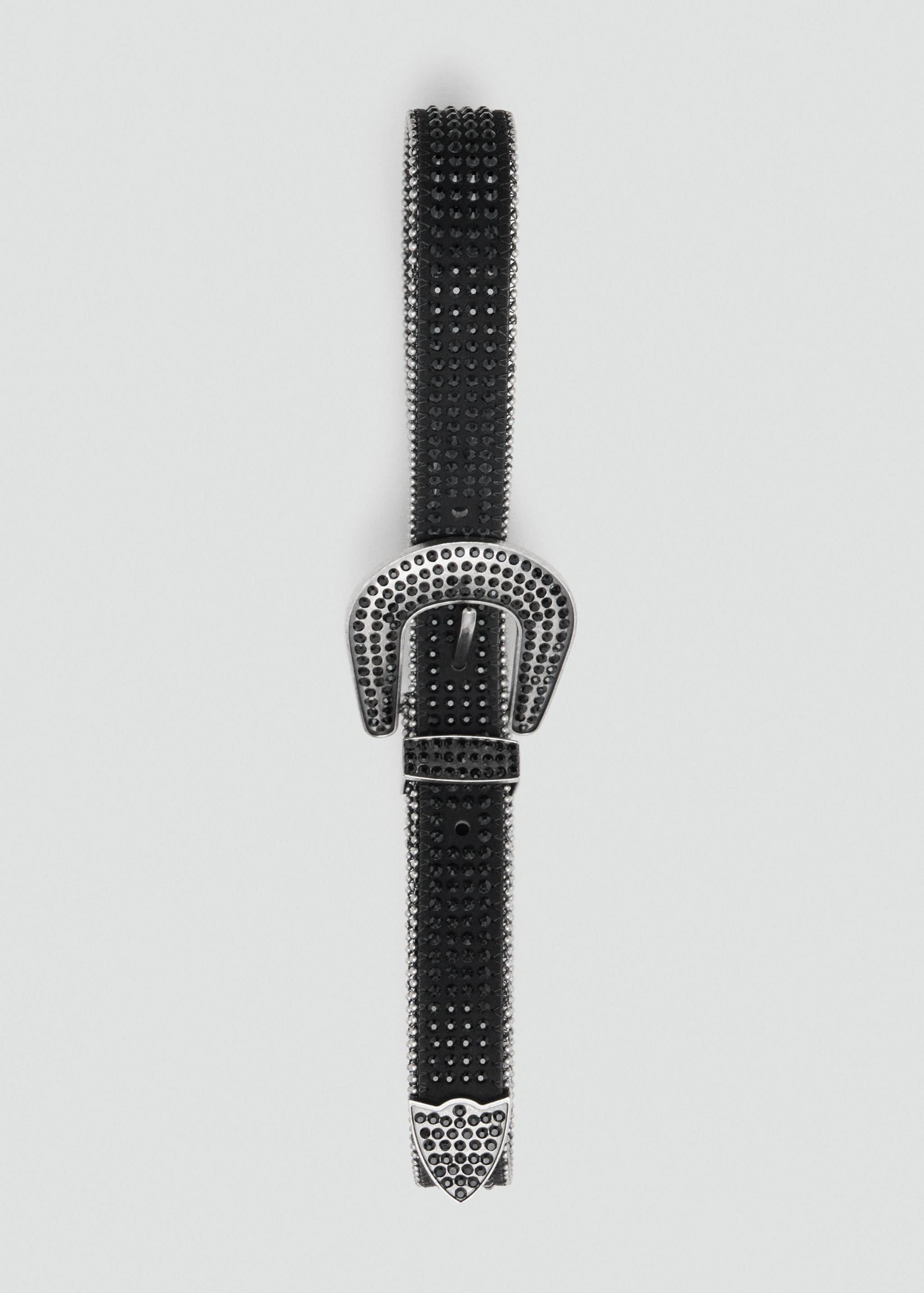 Rhinestone belt - Details of the article 2