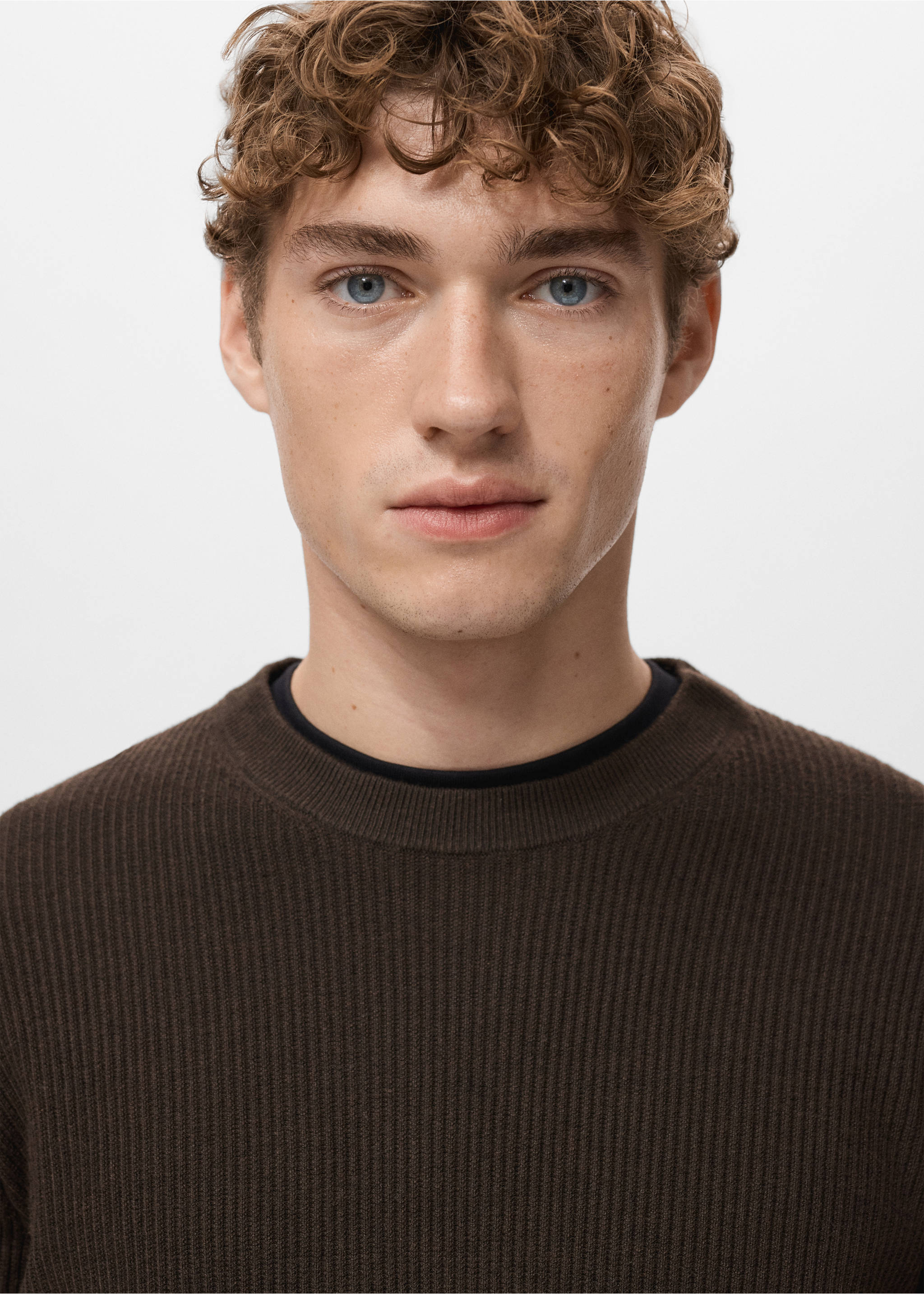 Fine rib-knit cotton sweater - Details of the article 1, Chocolate. Ref: 27031288-00.