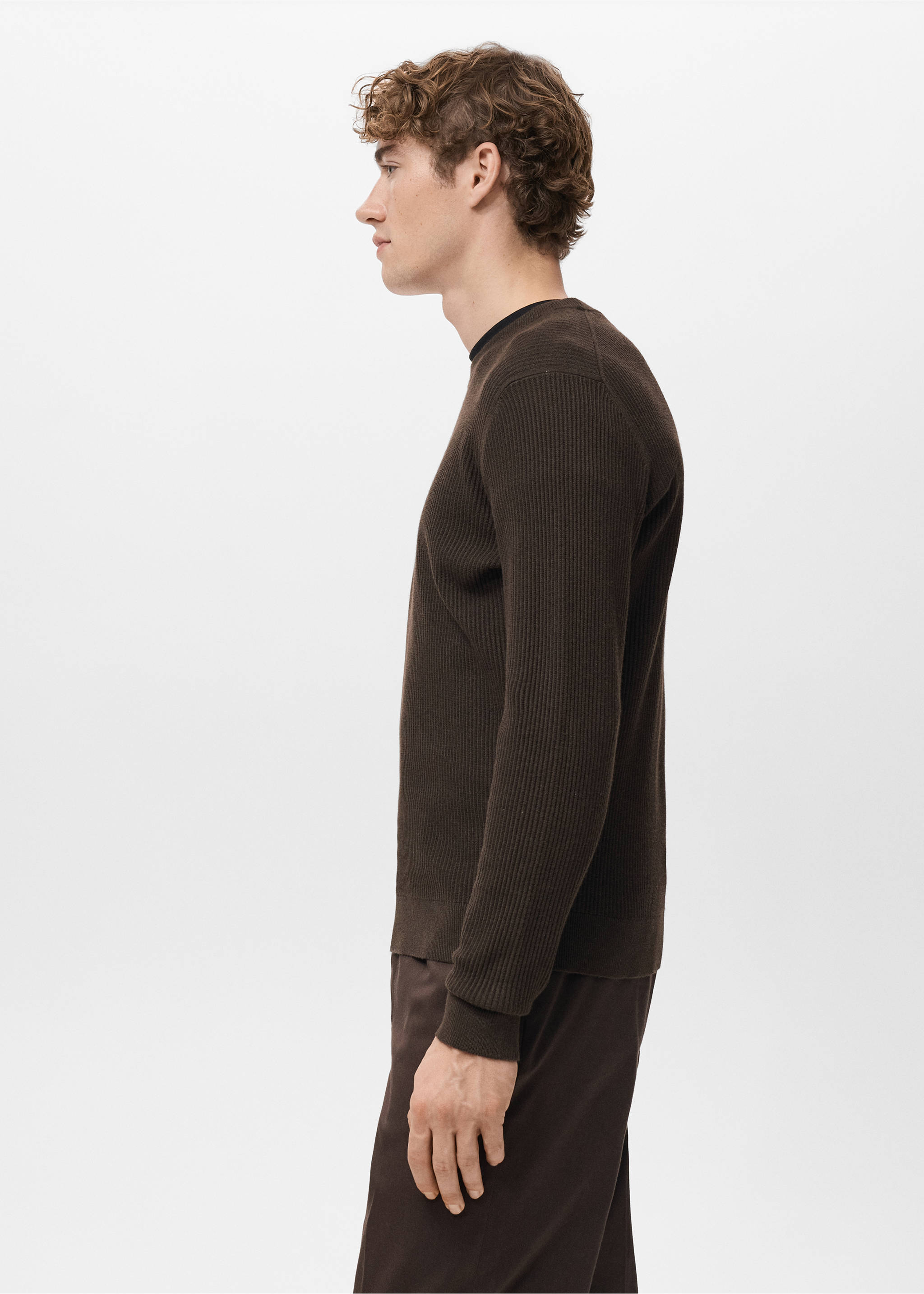 Fine rib-knit cotton sweater - Details of the article 2, Chocolate. Ref: 27031288-00.