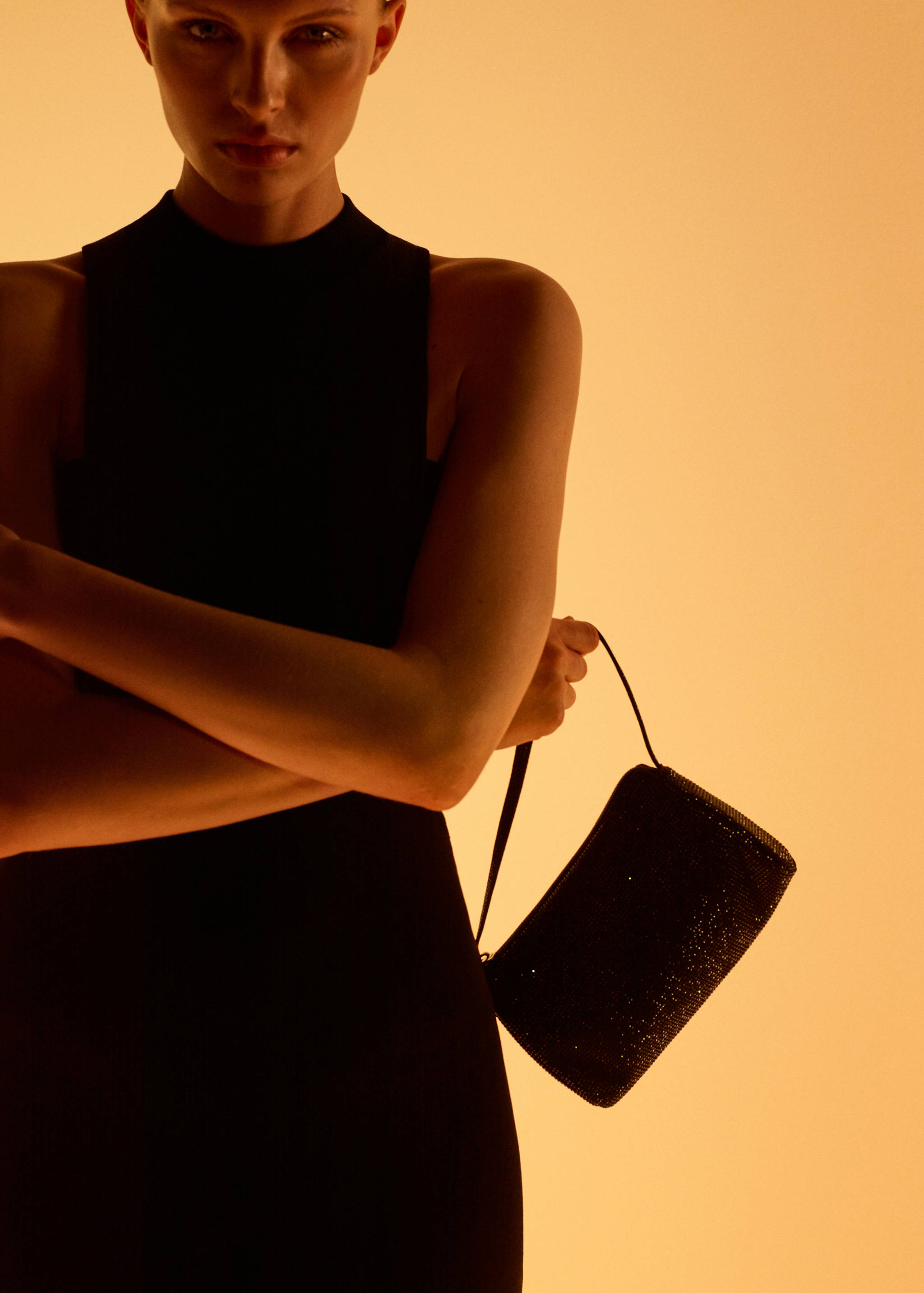 Sac à main à strass - Plan général