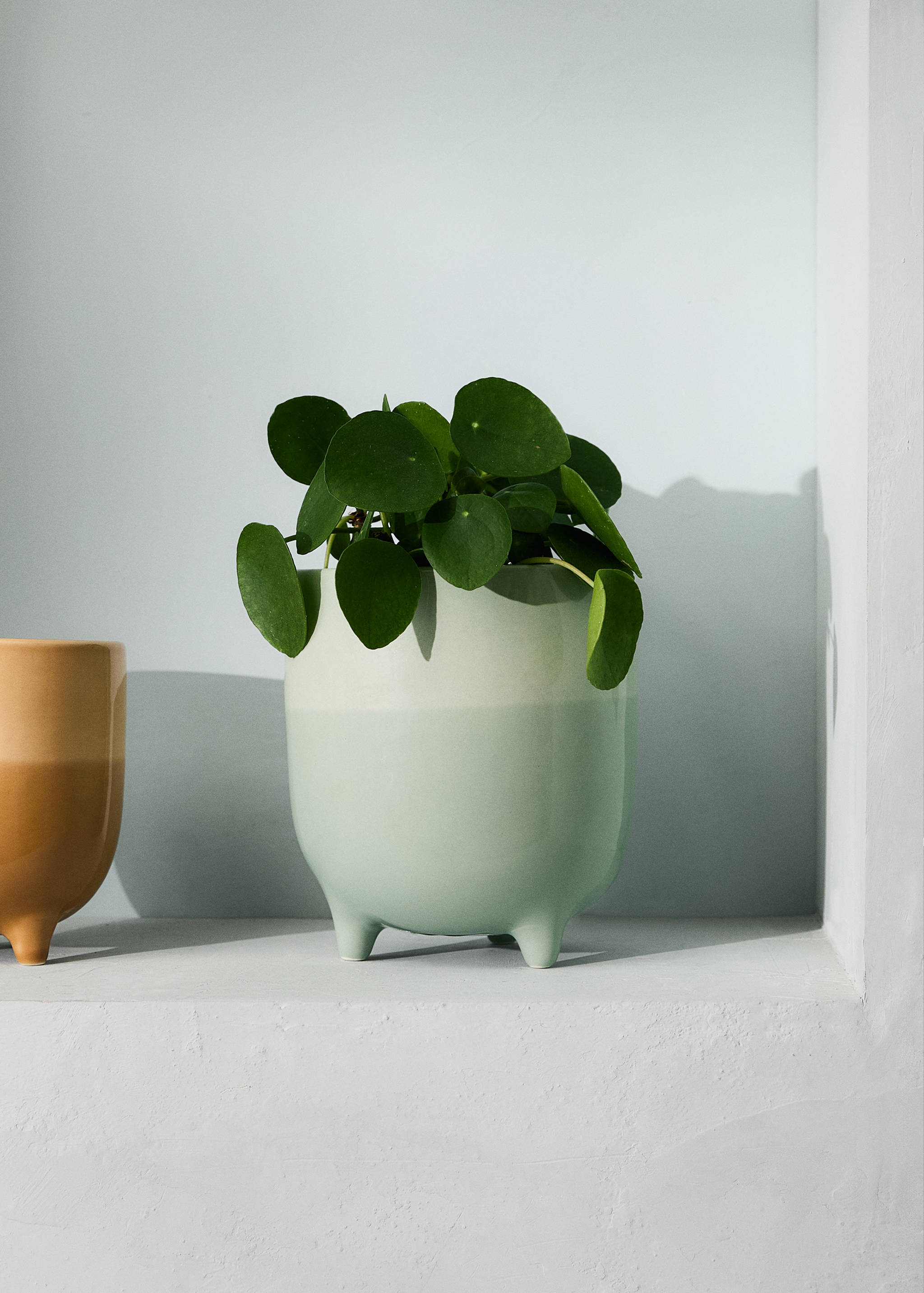 Bicolour stoneware planter - General plane