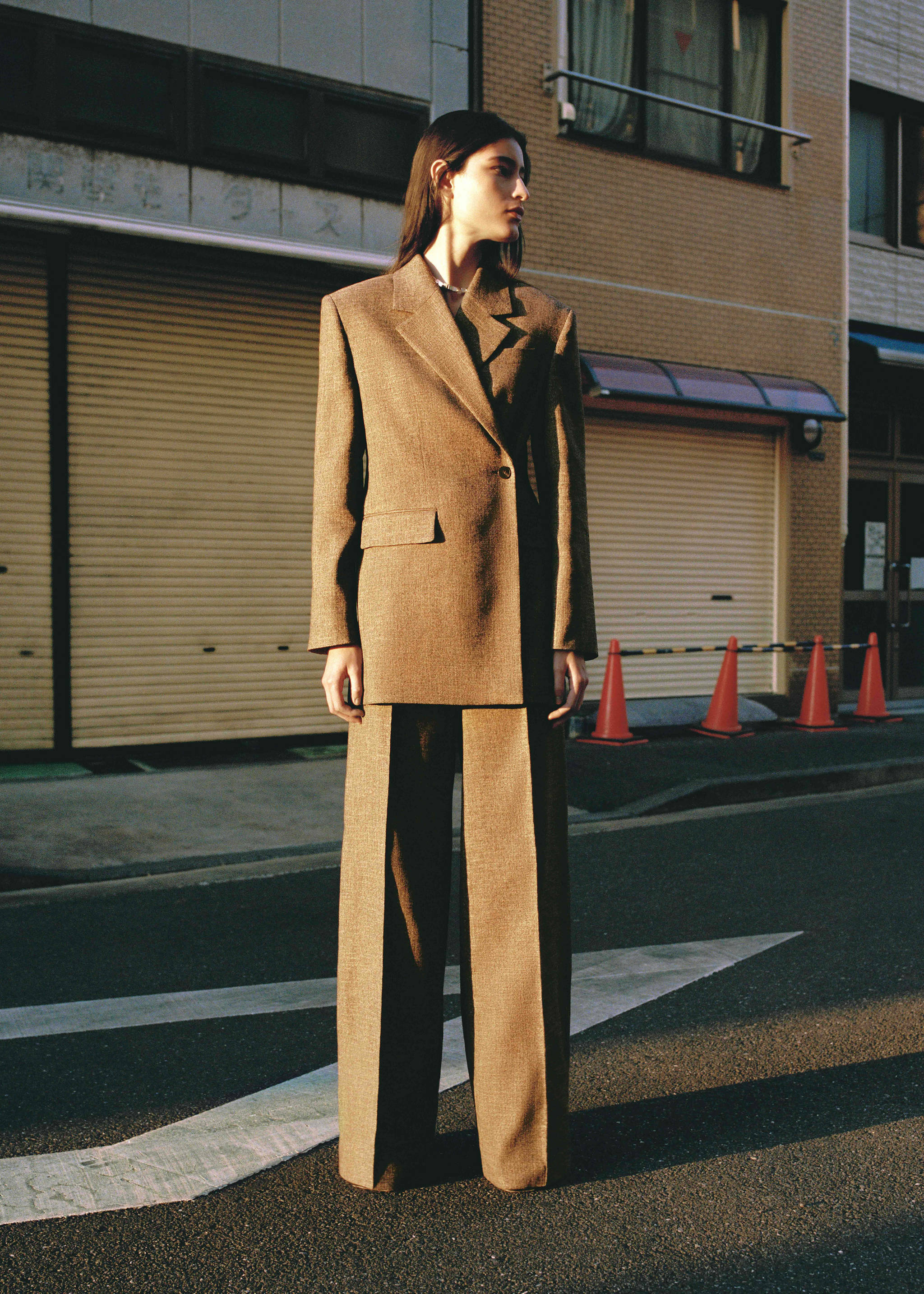 Flecked suit trousers - General plane