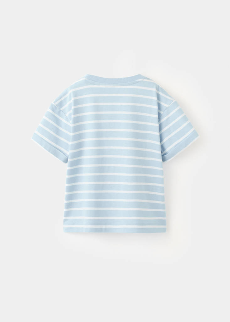 Striped t-shirt with embroidered detail — Sky Blue
