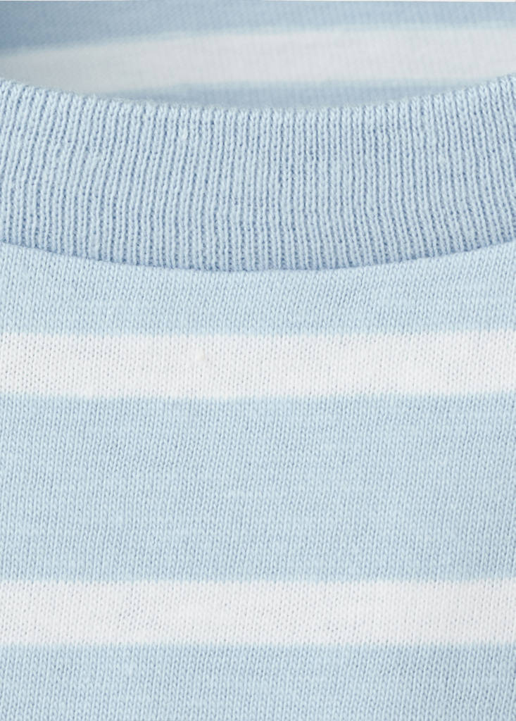 Striped t-shirt with embroidered detail — Sky Blue