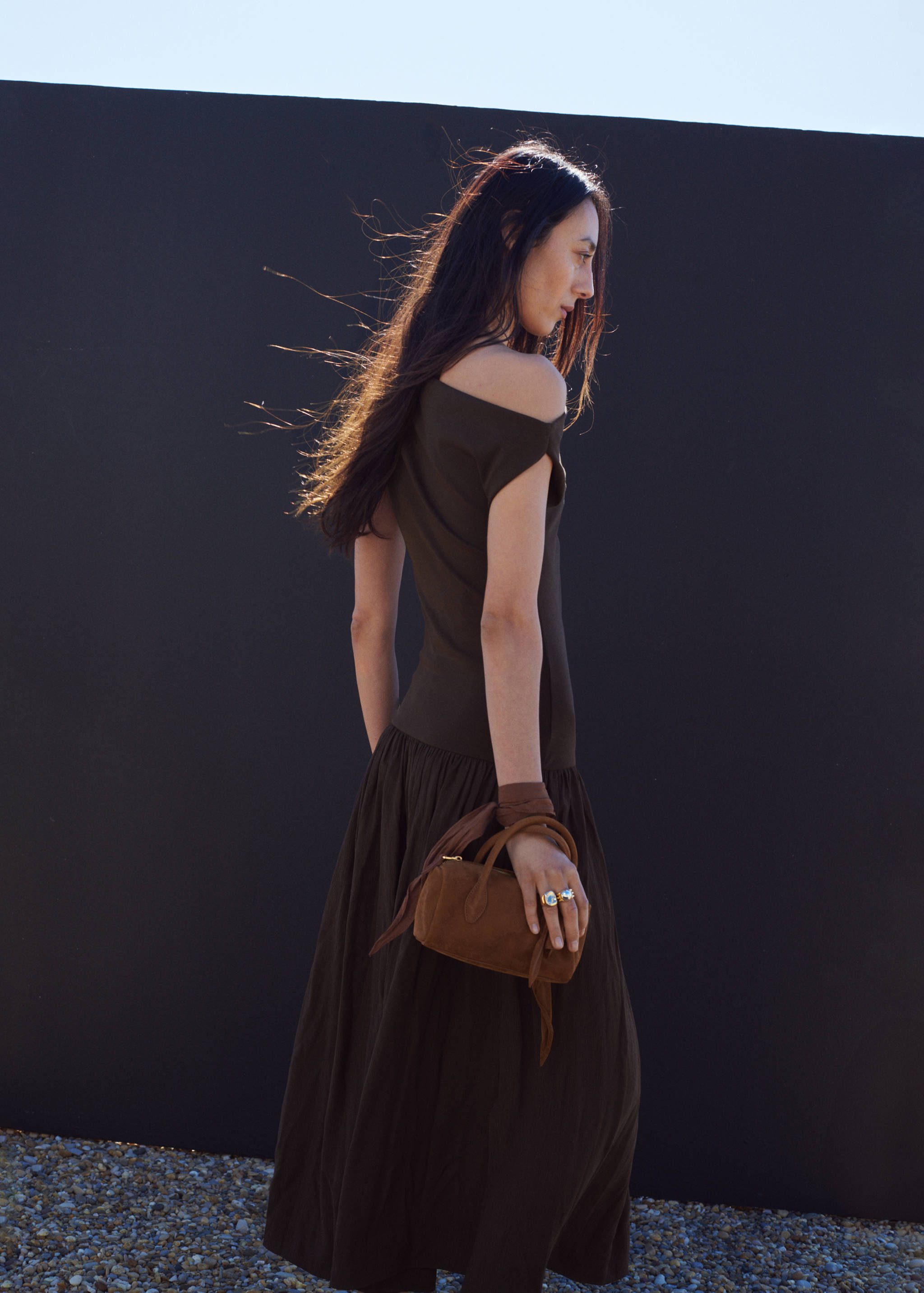 حقيبة يد من الجلد - رؤية عامة