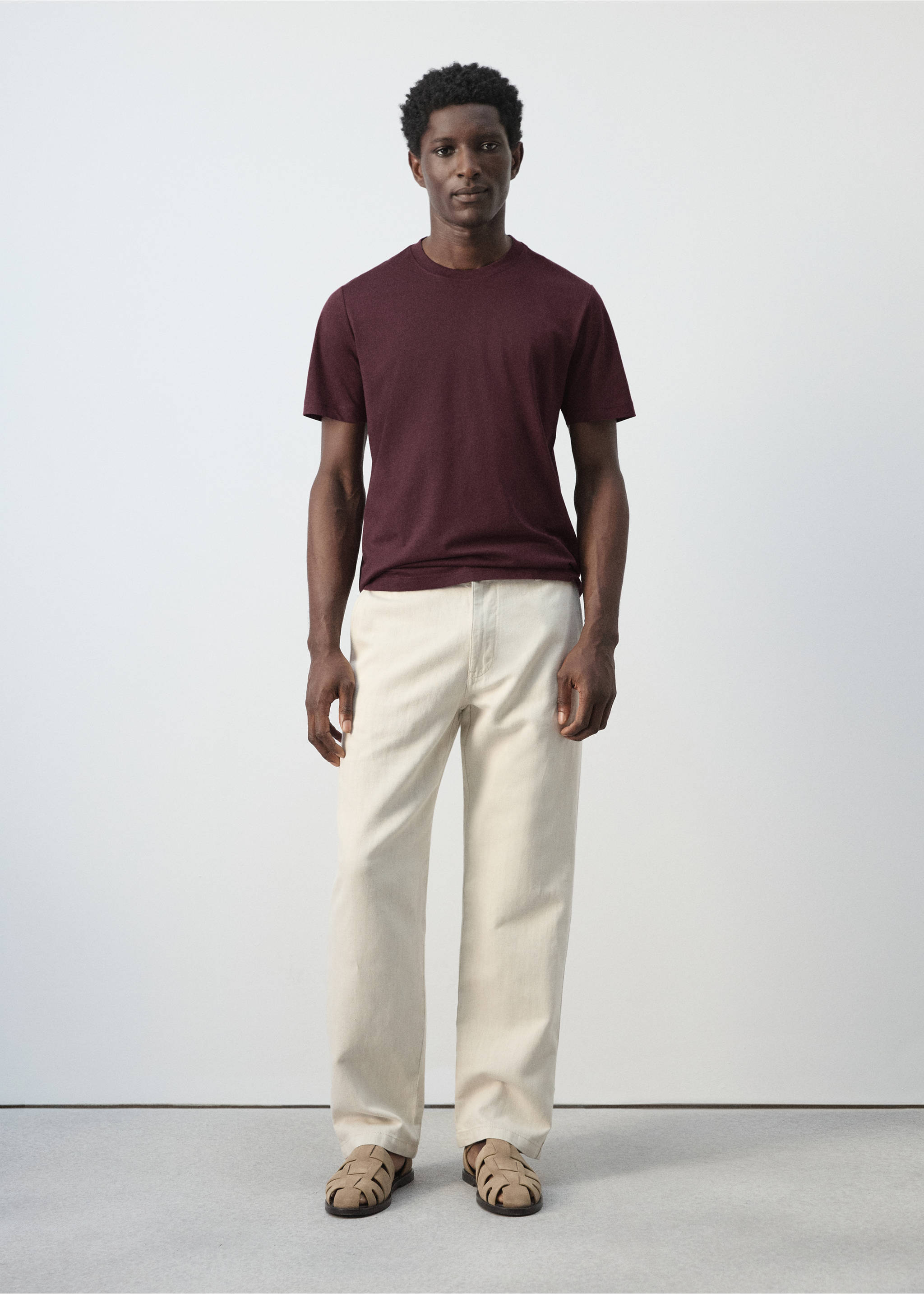 100% cotton slim-fit t-shirt - General plane, Plum. Ref: 27041263-00.