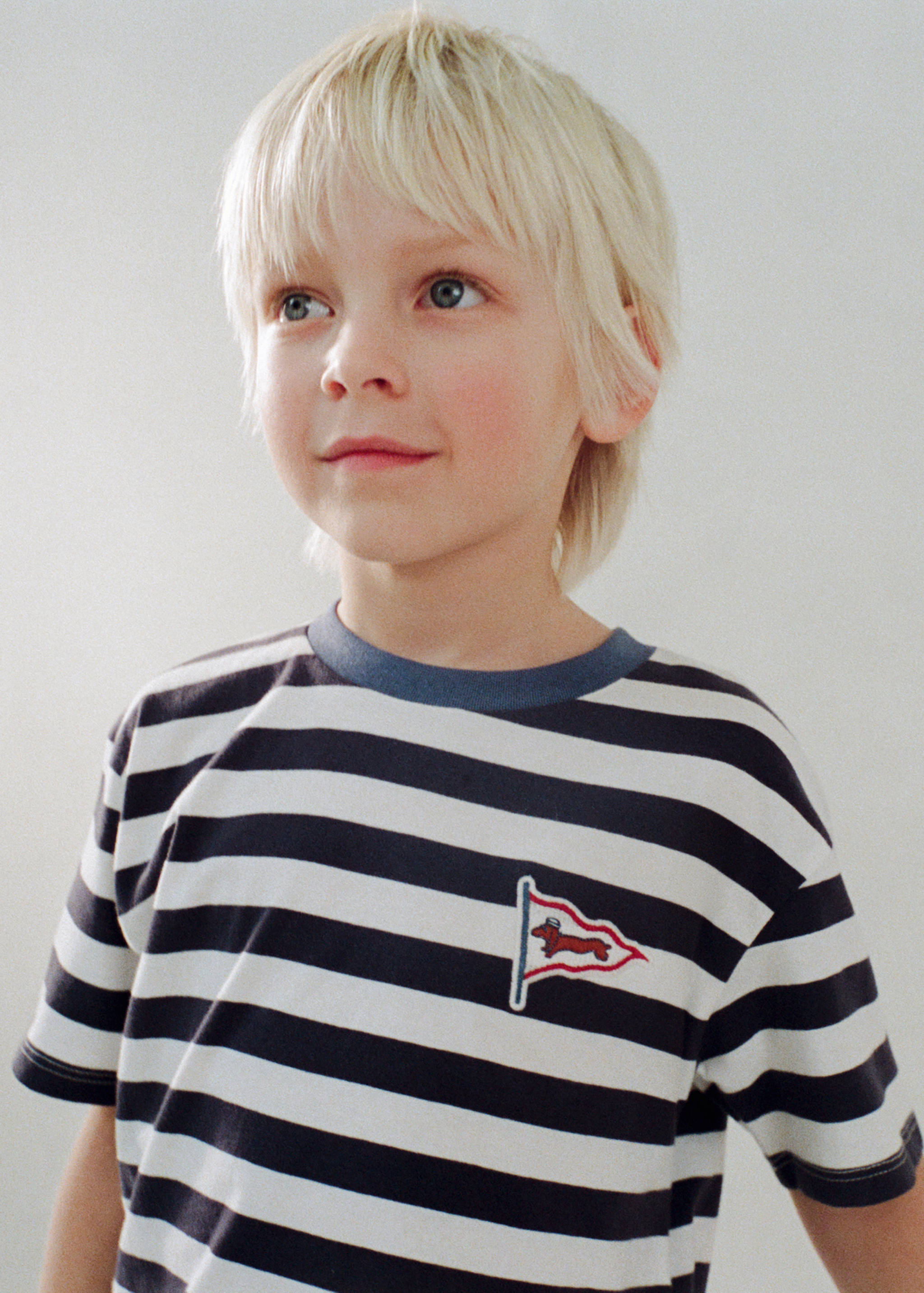 Embroidery striped T-shirt - General plane