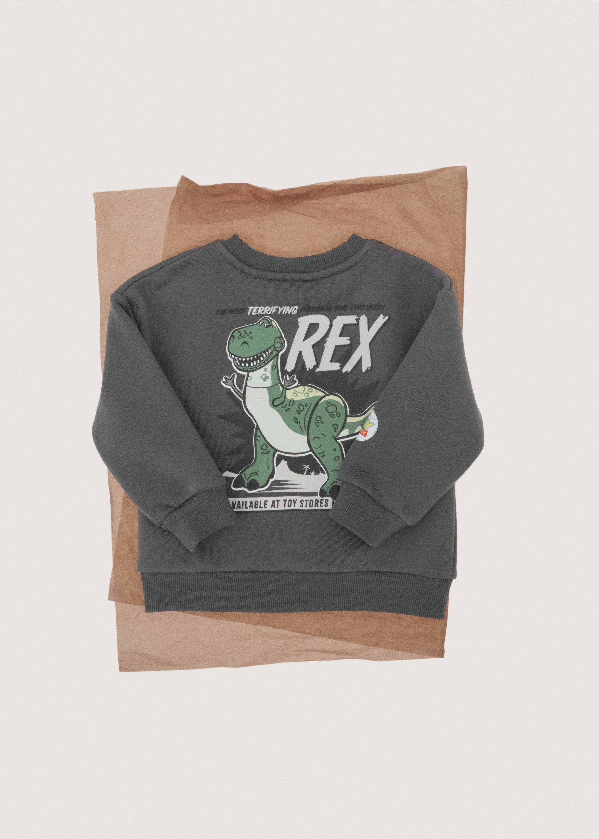 Sweatshirt do Toy Story - Pormenor do artigo 7, Cinzento-carvão. Ref: 27051294-00.