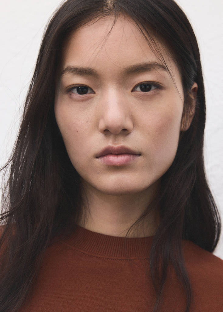 Plain cotton sweatshirt — Russet