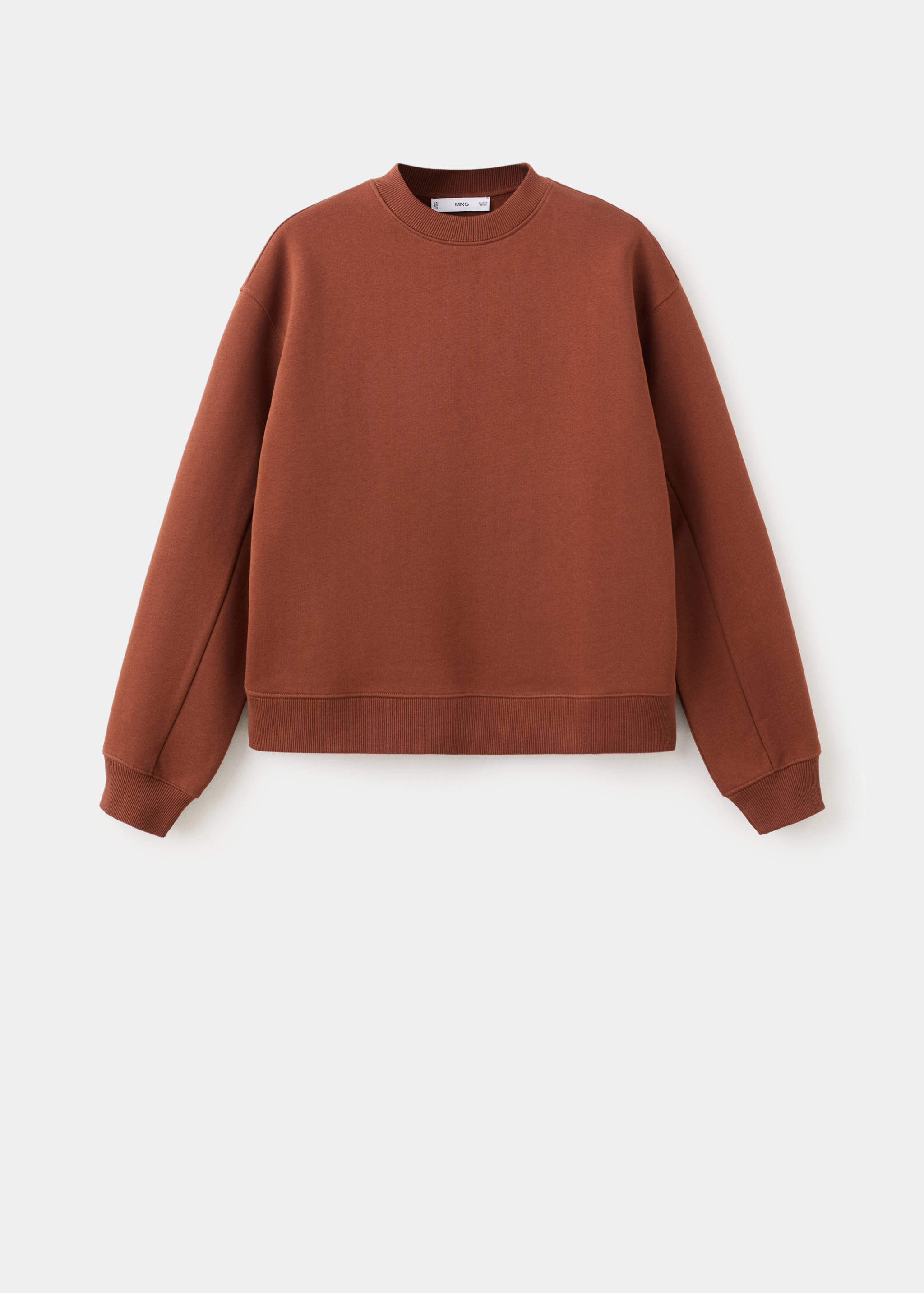 Plain cotton sweatshirt - Article without model