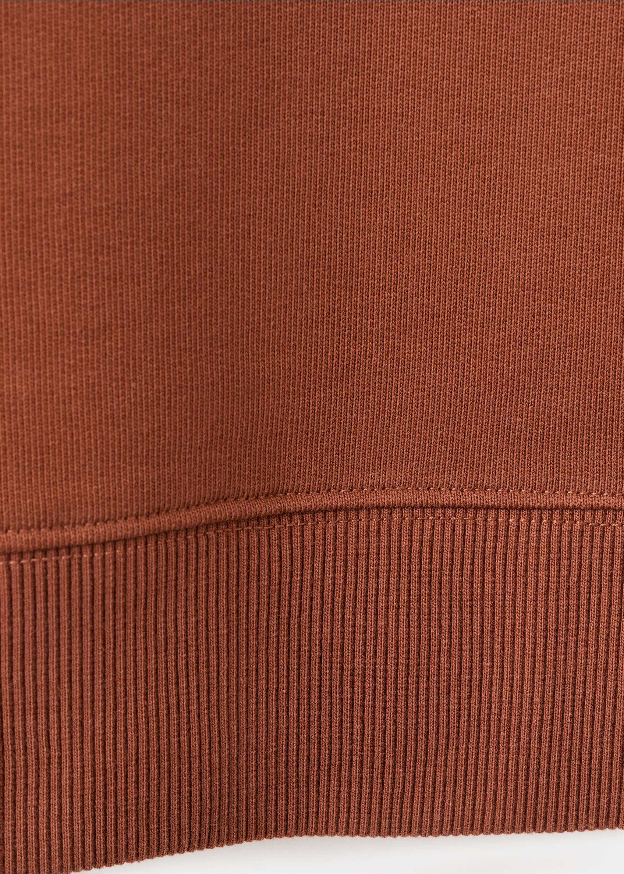 Plain cotton sweatshirt - Details of the article 0, Russet. Ref: 27051338-00.