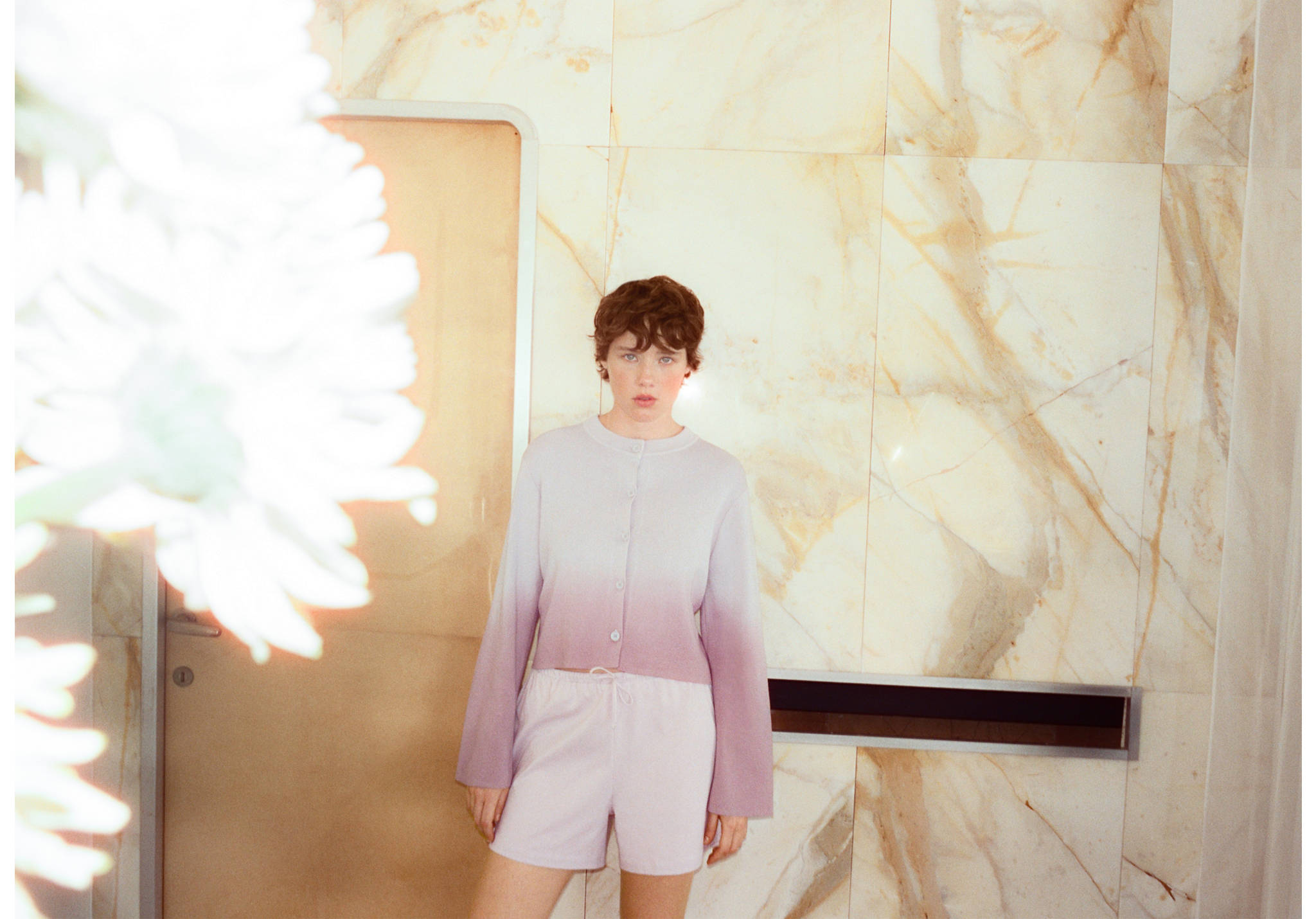 Cotton shorts - Panoramic plane