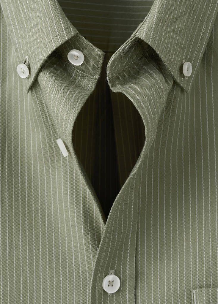 Oxford shirt, regular fit, 100% cotton, striped — Green