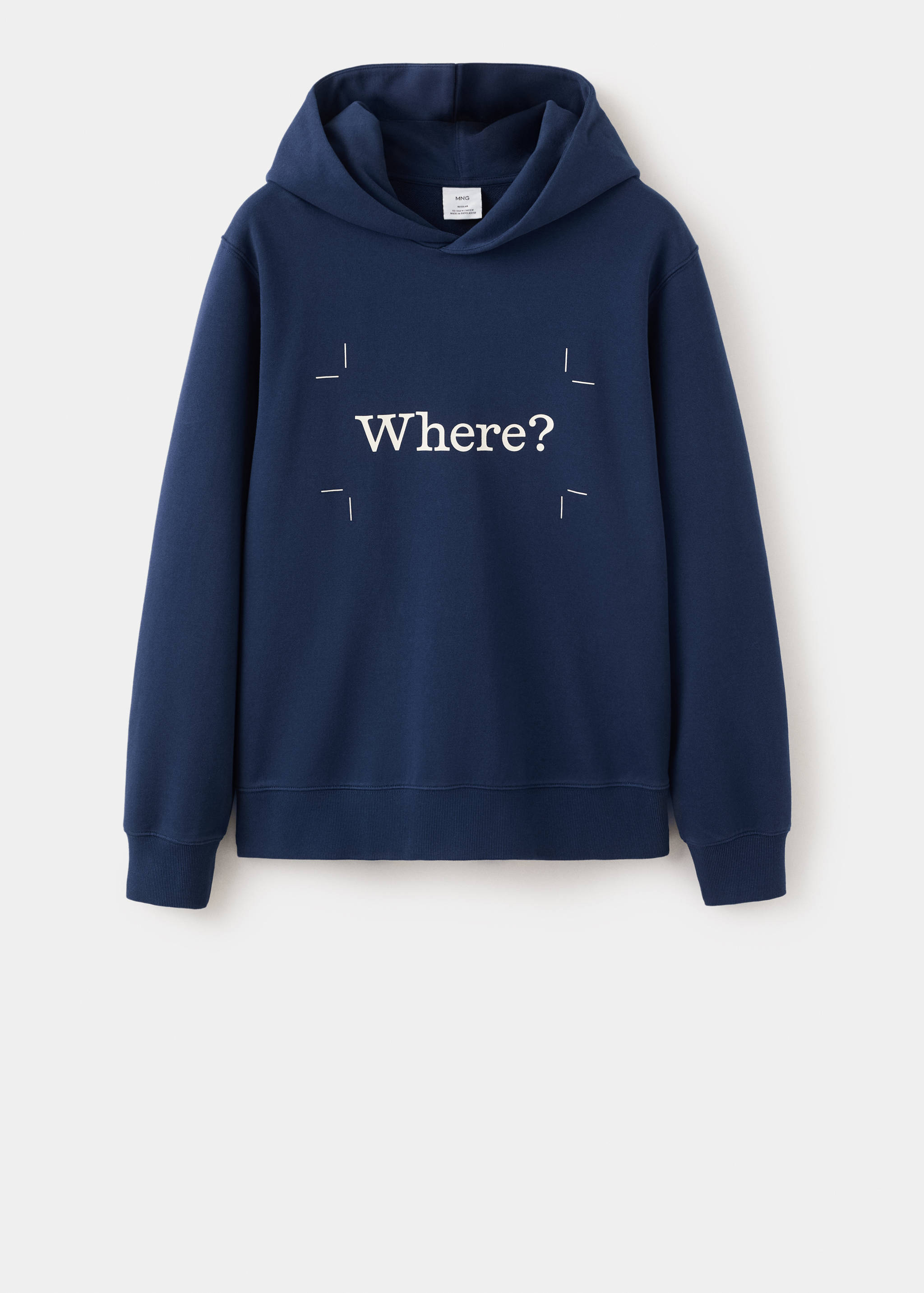 100% cotton hooded sweatshirt text - Article without model