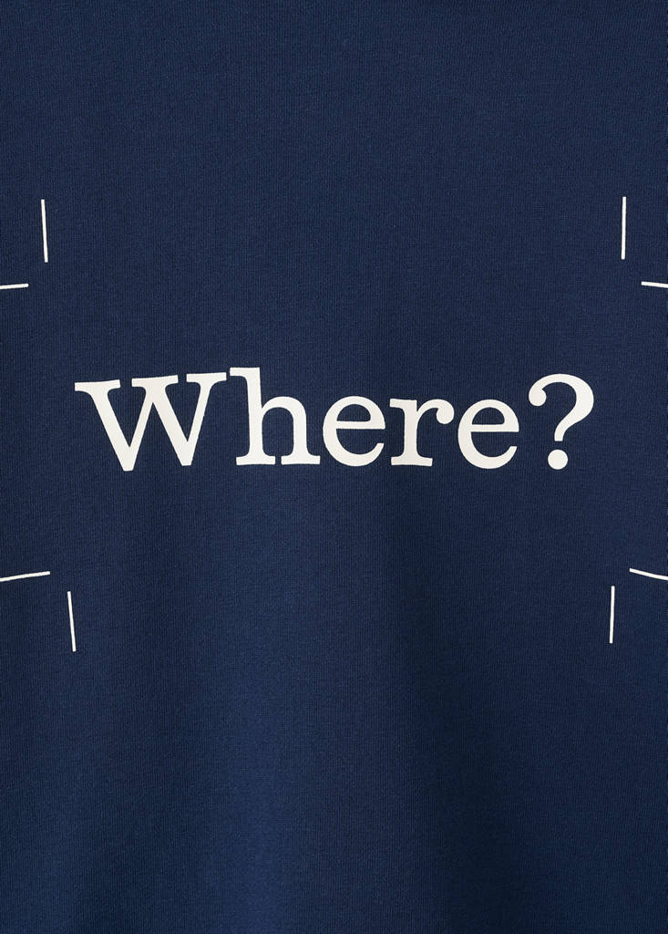 Printed 100% cotton hooded sweatshirt — Ink Blue