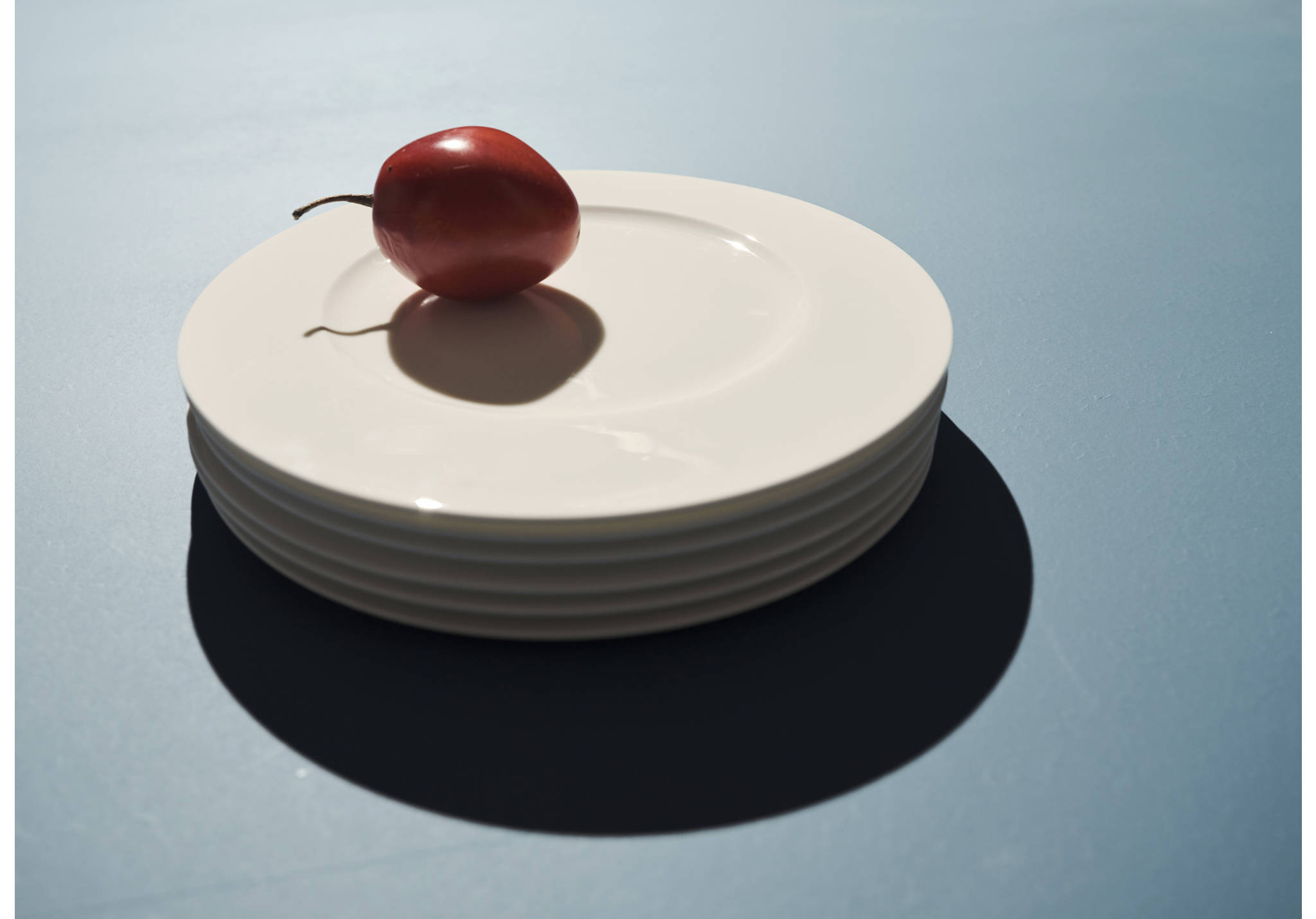 Ultralight bone china dinner plate - Panoramic plane