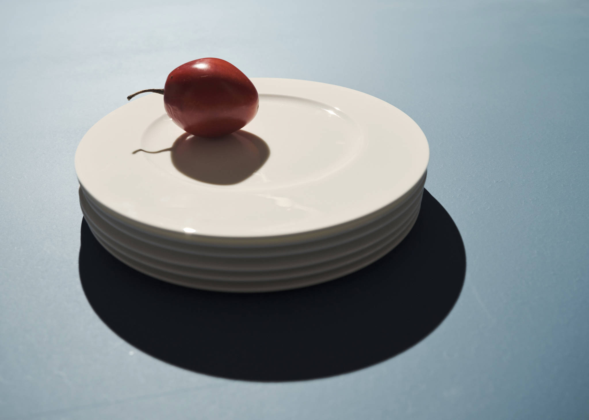 Premium plate in ultra-light bonne porcelain - Panoramic plane