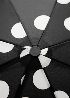 Polka-dot print umbrella — Black 4