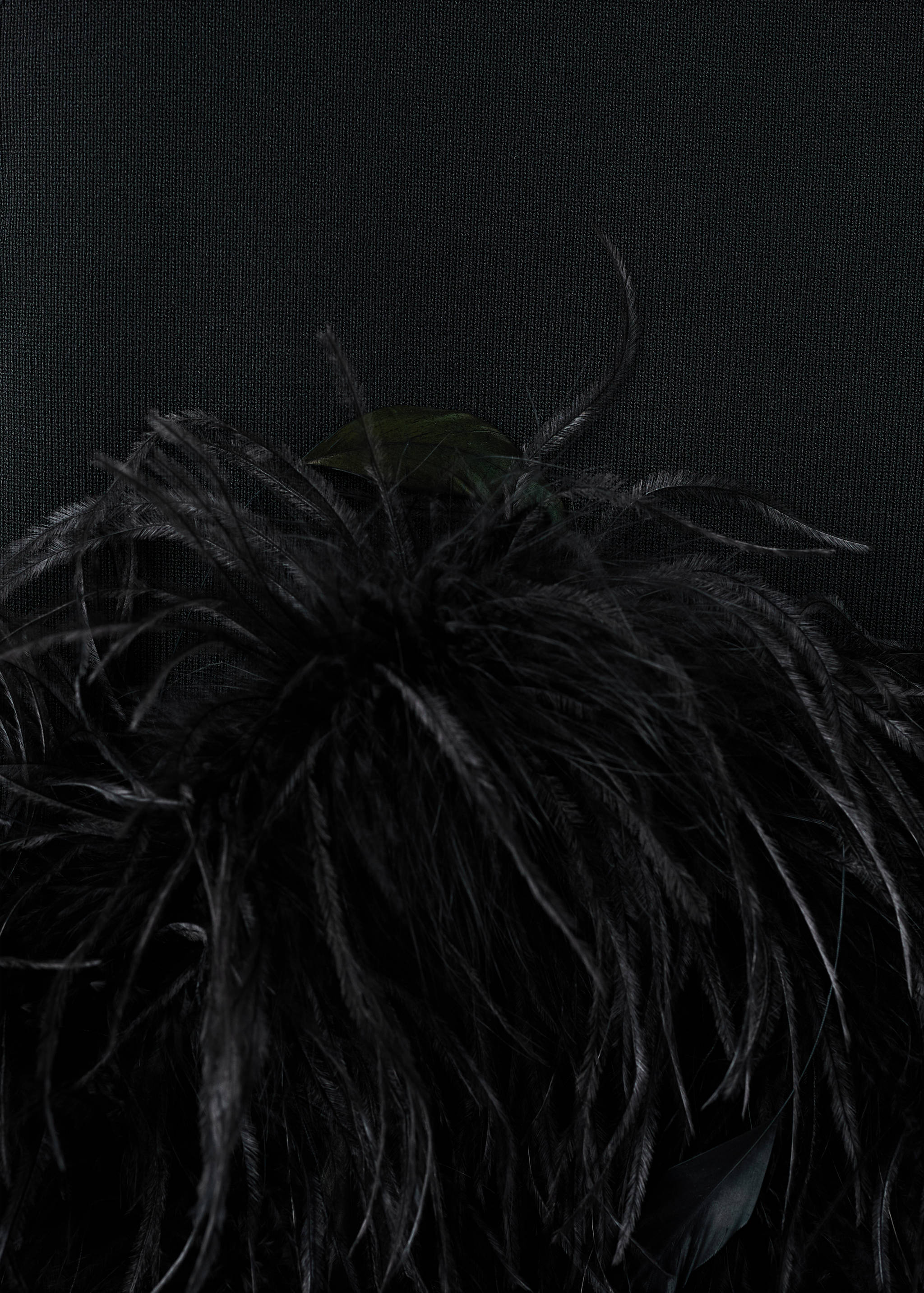 Knitted top with feather - Details of the article 0