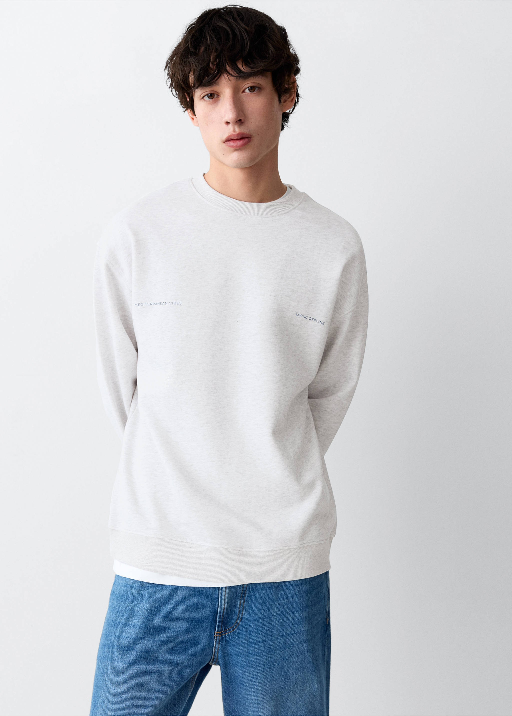 Printed cotton sweatshirt - Medium plane, Light Heather Grey. Ref: 27066355-00.