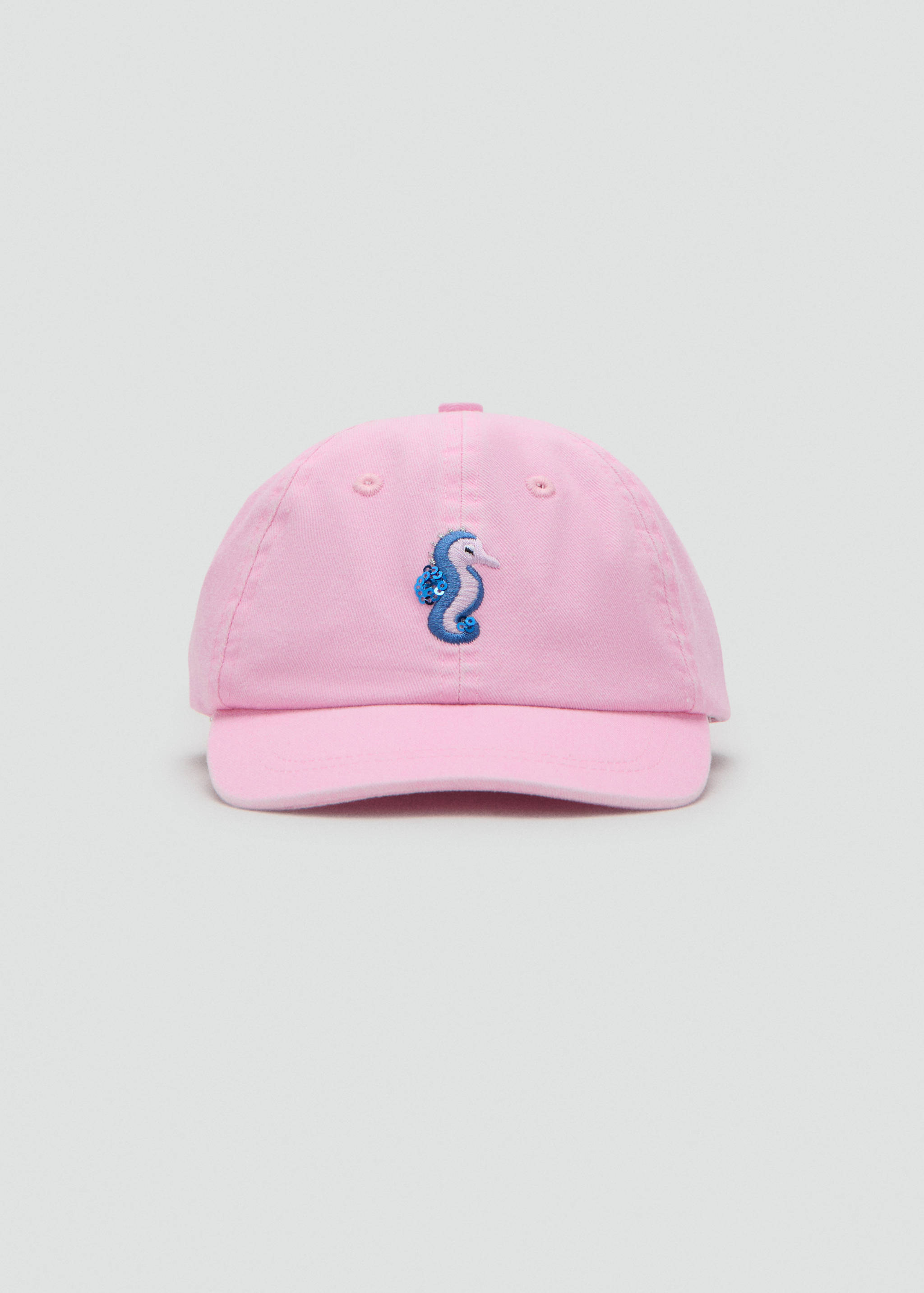 Embroidered graphic cap - Medium plane
