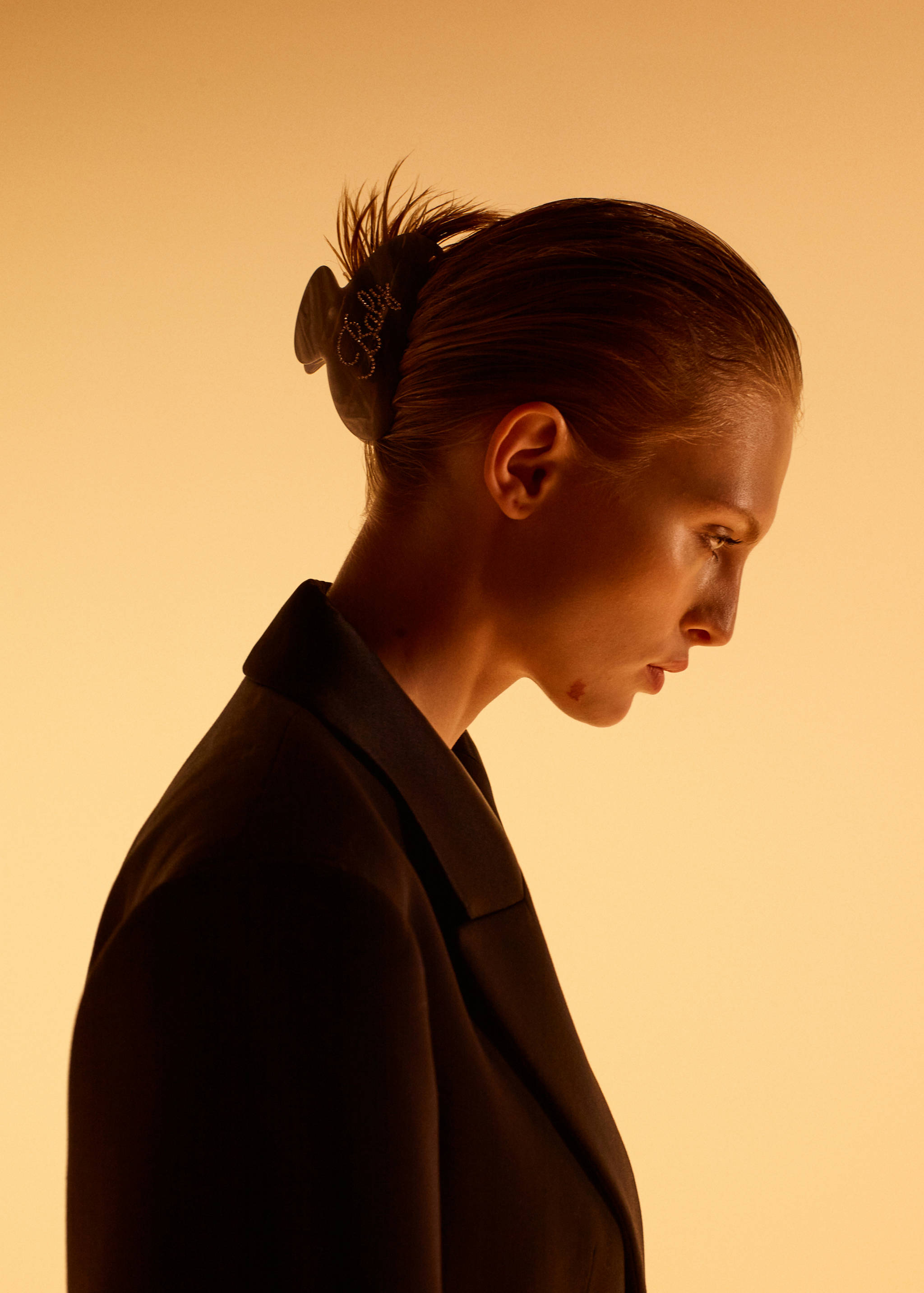 Pince à cheveux effet nacré à strass - Plan général