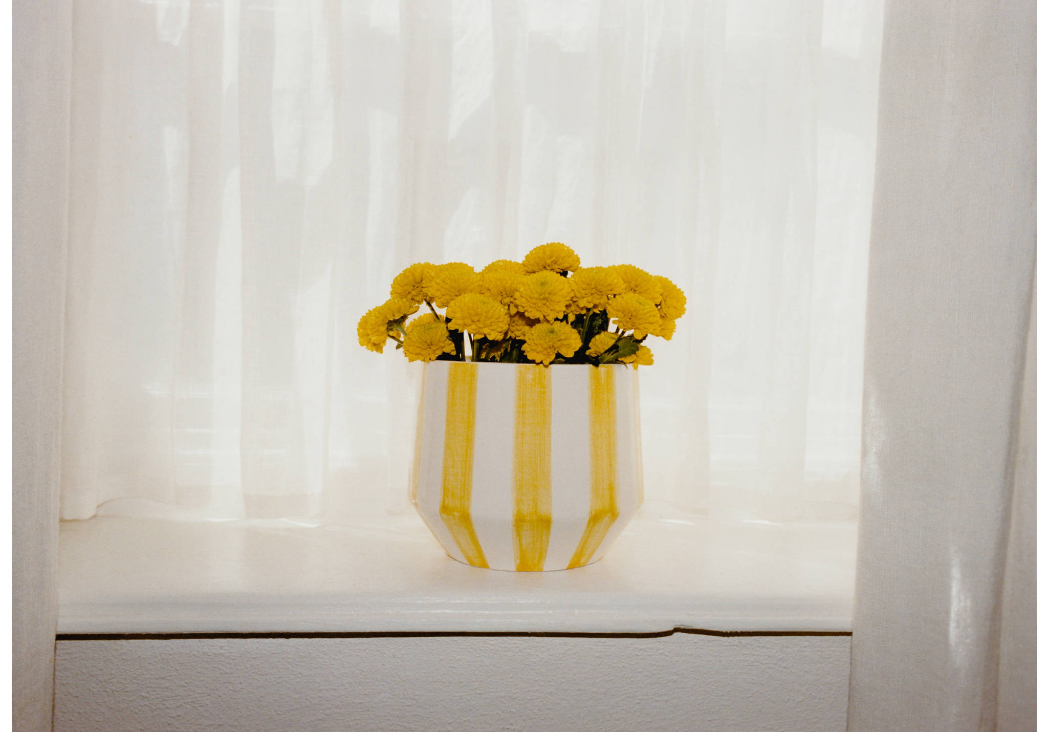 Hand-painted striped flowerpot - Panoramic plane