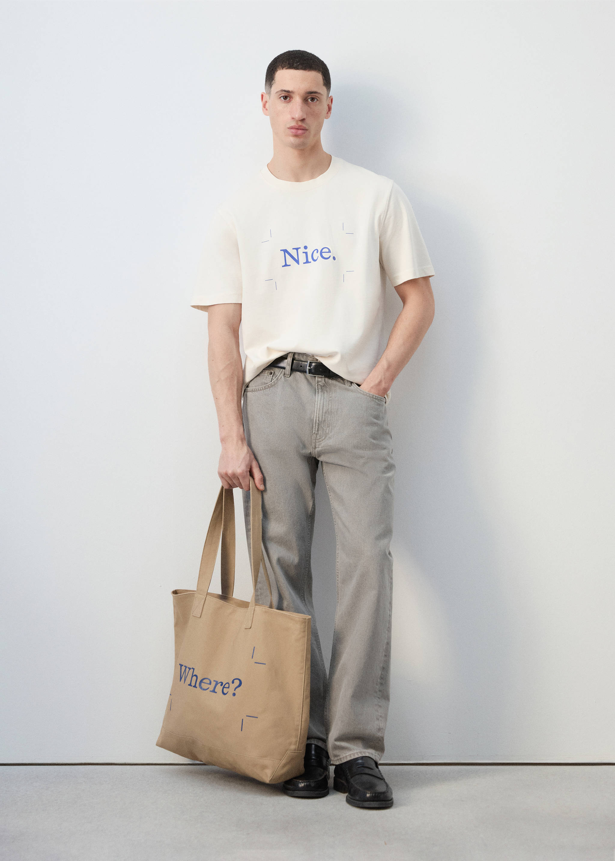 100% cotton canvas tote bag - General plane