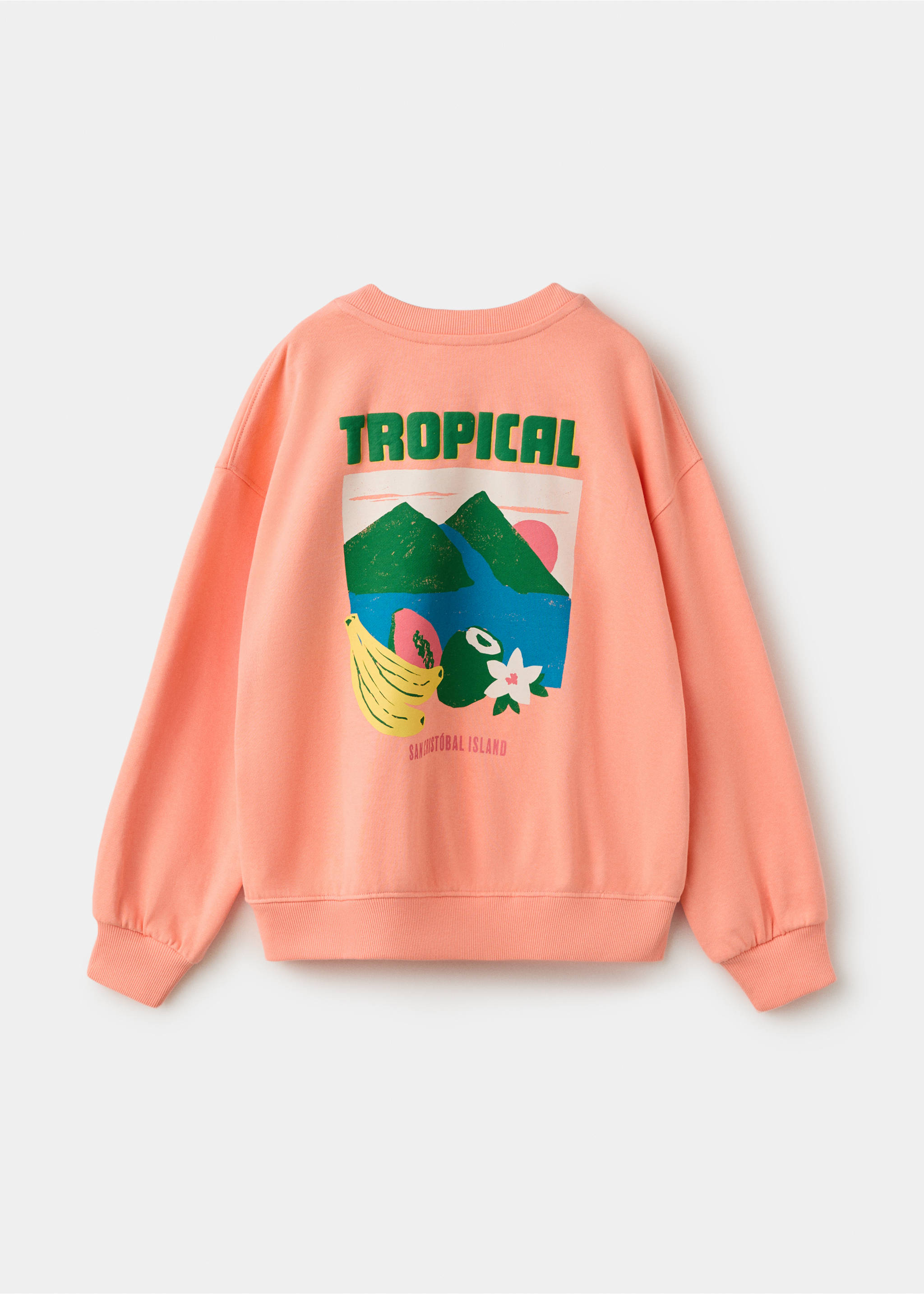 Printed cotton sweatshirt - Reverse of the article, Clementine. Ref: 27087909-00.