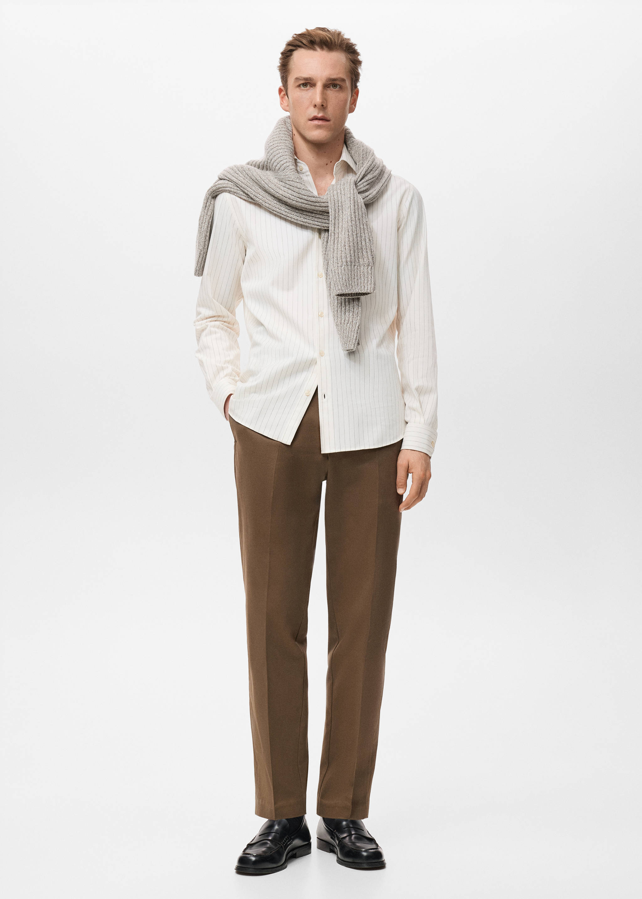 100% cotton regular-fit striped shirt - General plane