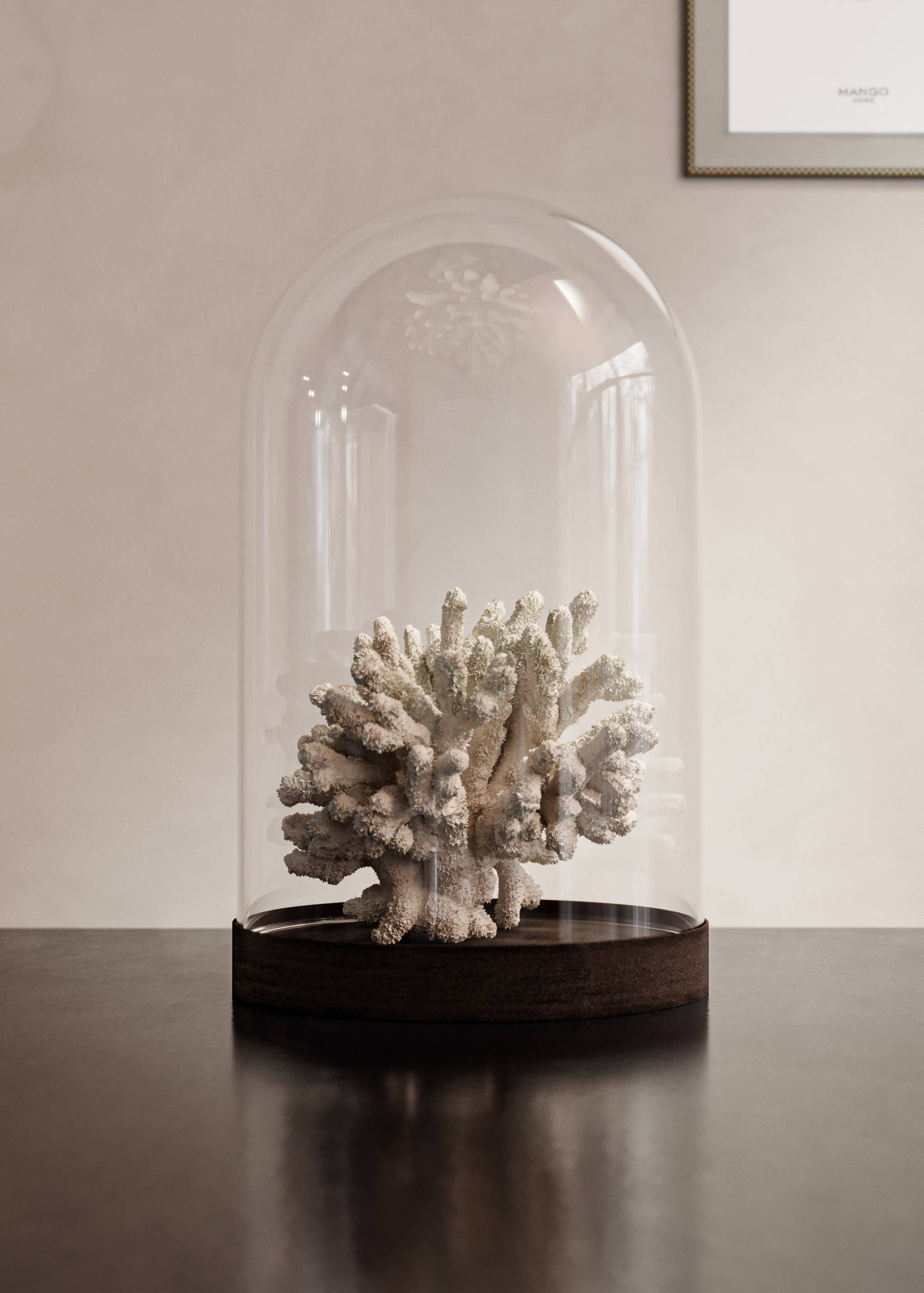 Decorative glass cloche - General plane