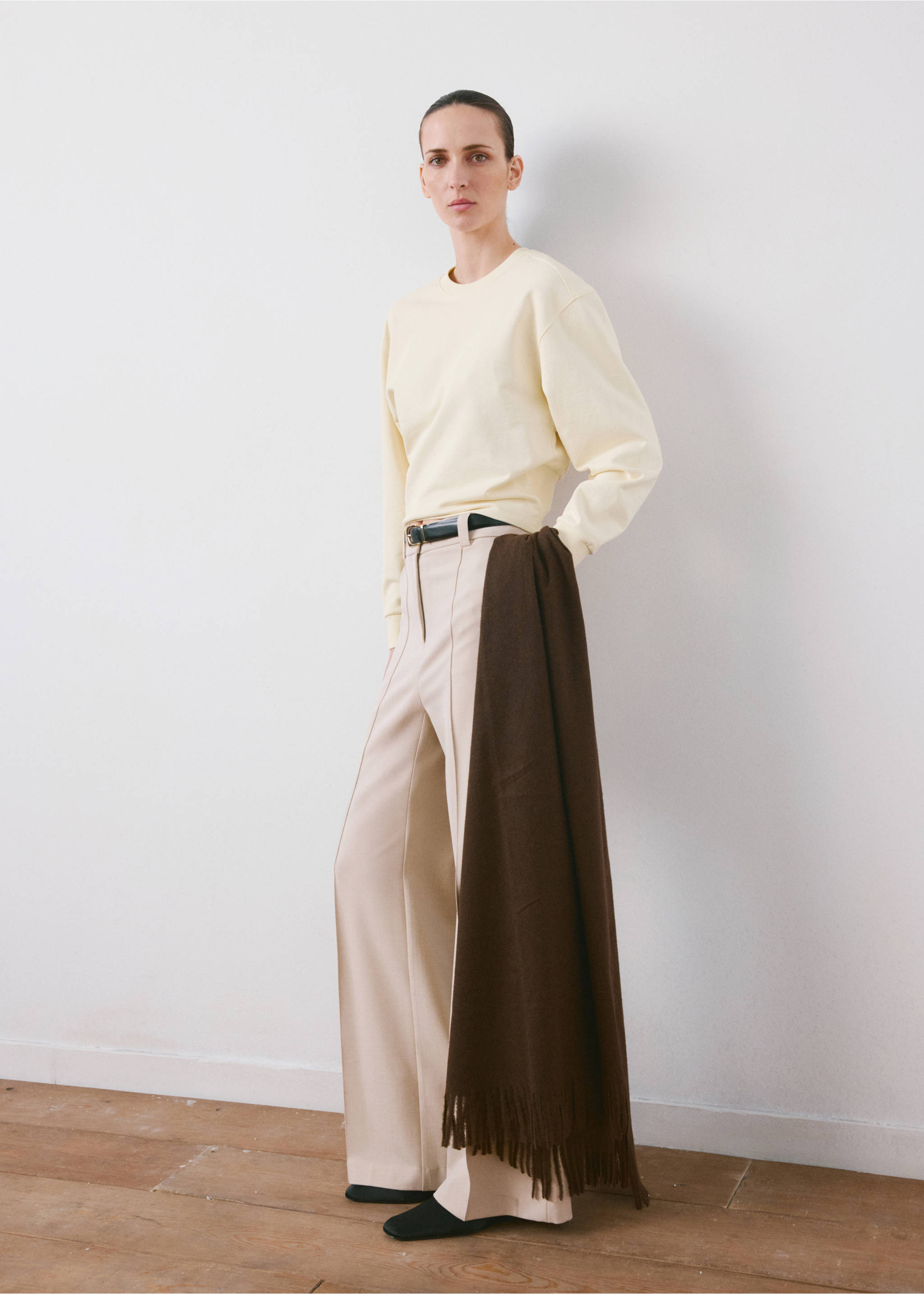 Round-neck cotton sweatshirt - General plane, Pastel Yellow. Ref: 27093335-00.