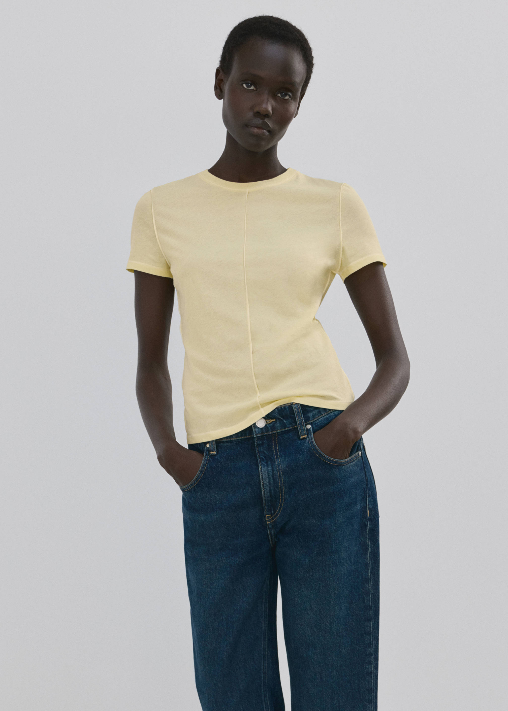 Cotton T-shirt with seams - Medium plane