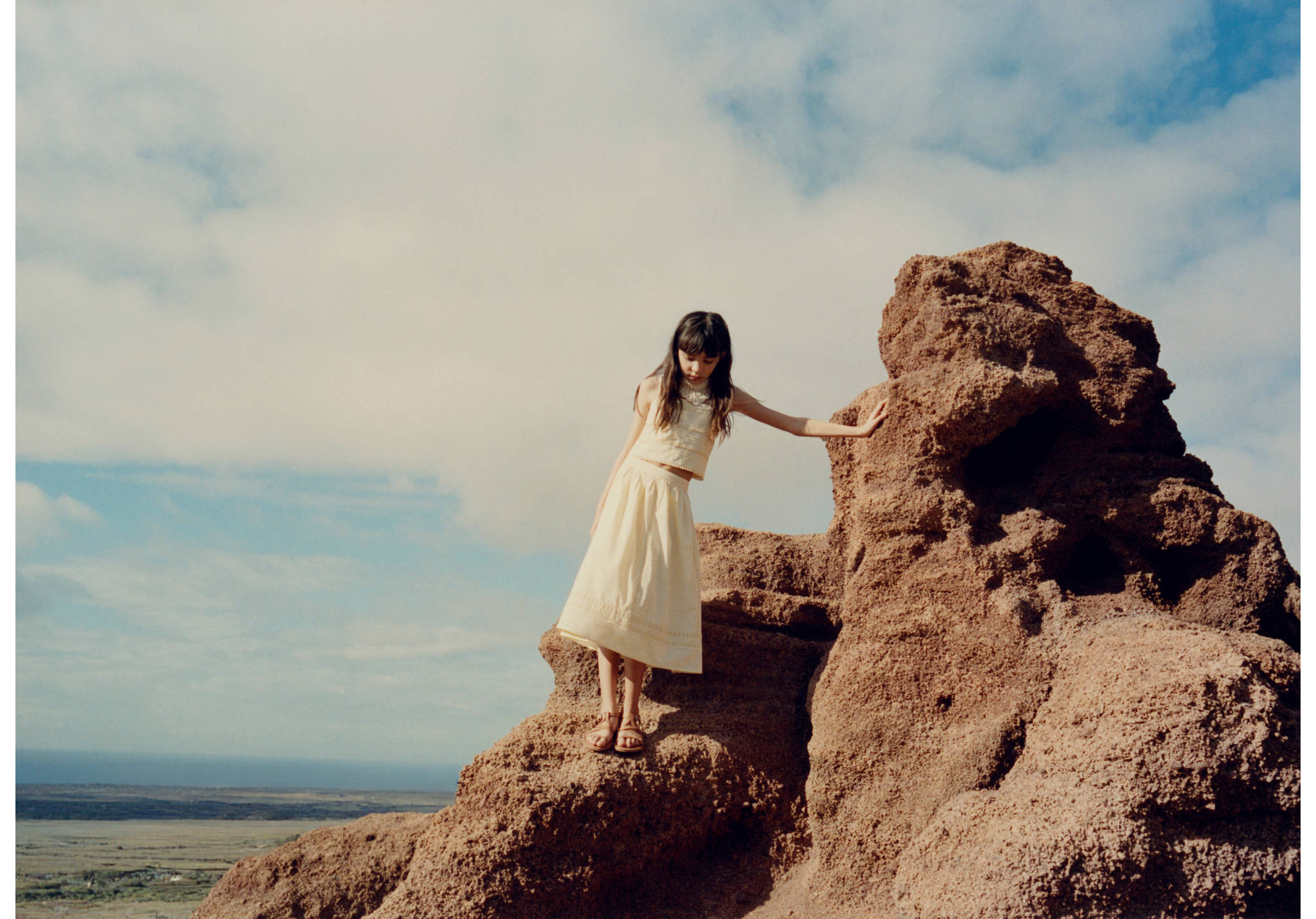 Midi skirt with embroidered details - Panoramic plane