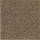 Medium Brown