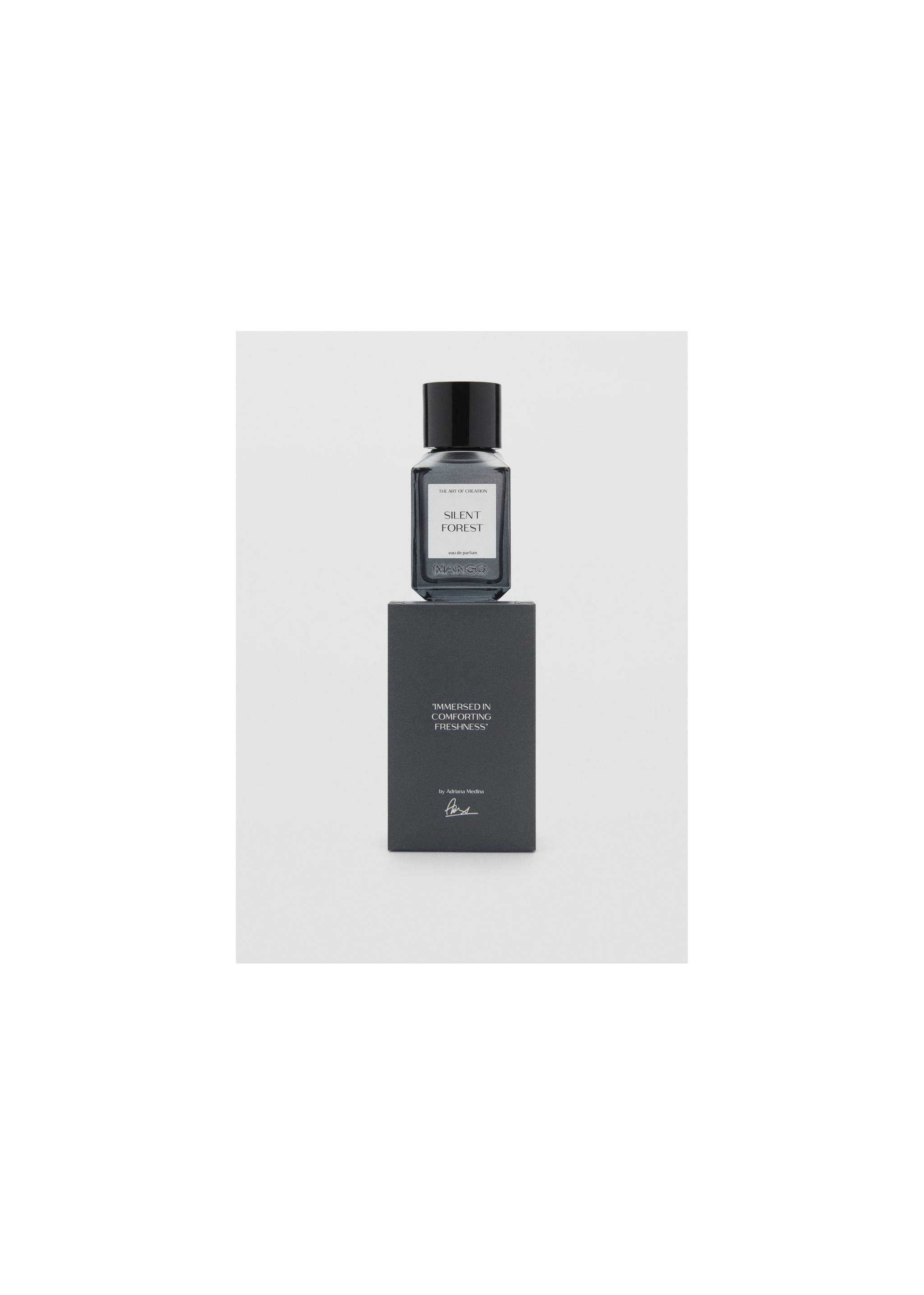 Fragancia Silent forest 100 ml - Detalle del artículo 1, Gris visón. Ref: 37001455-00.