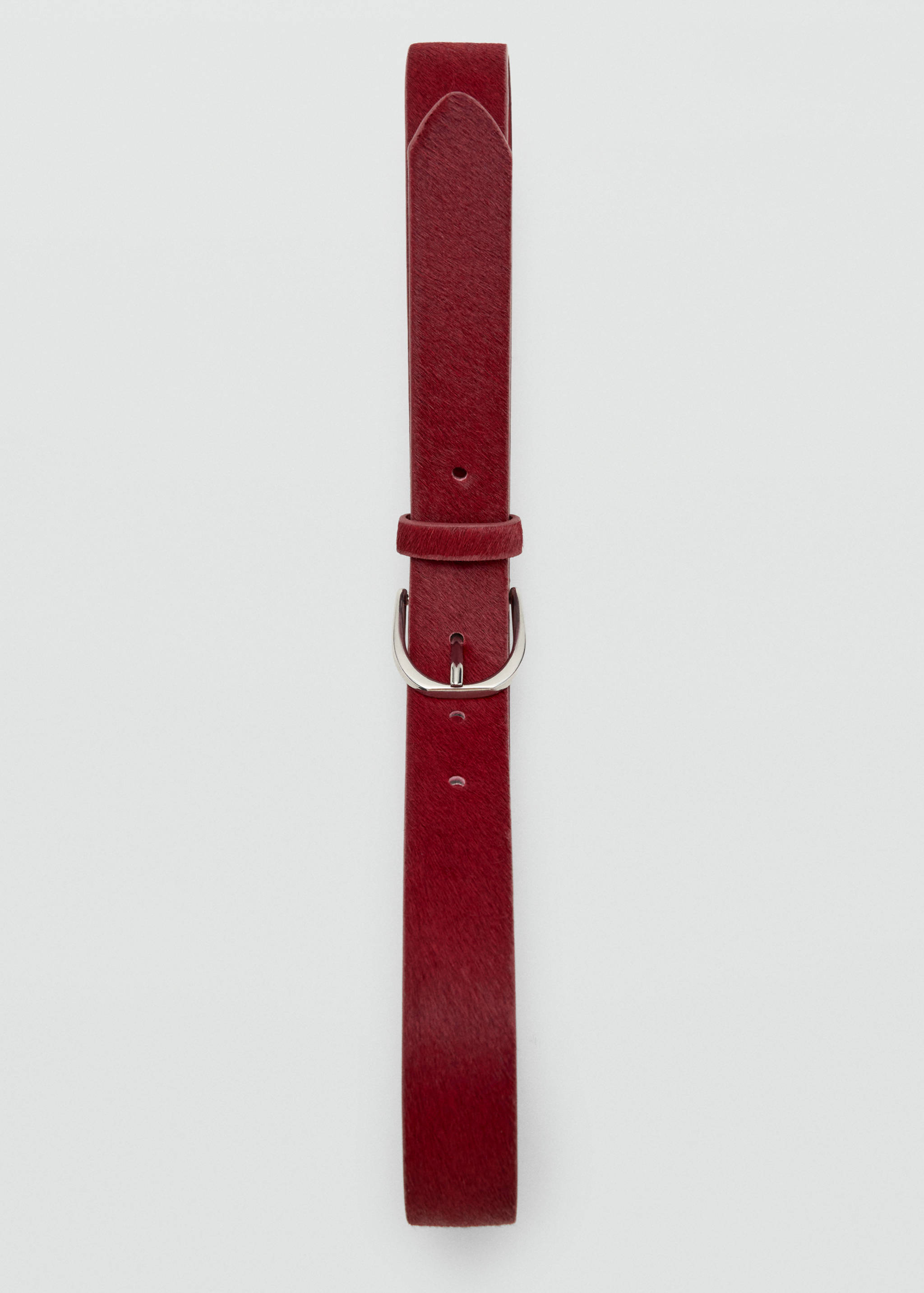 Belt ianar - Details of the article 2