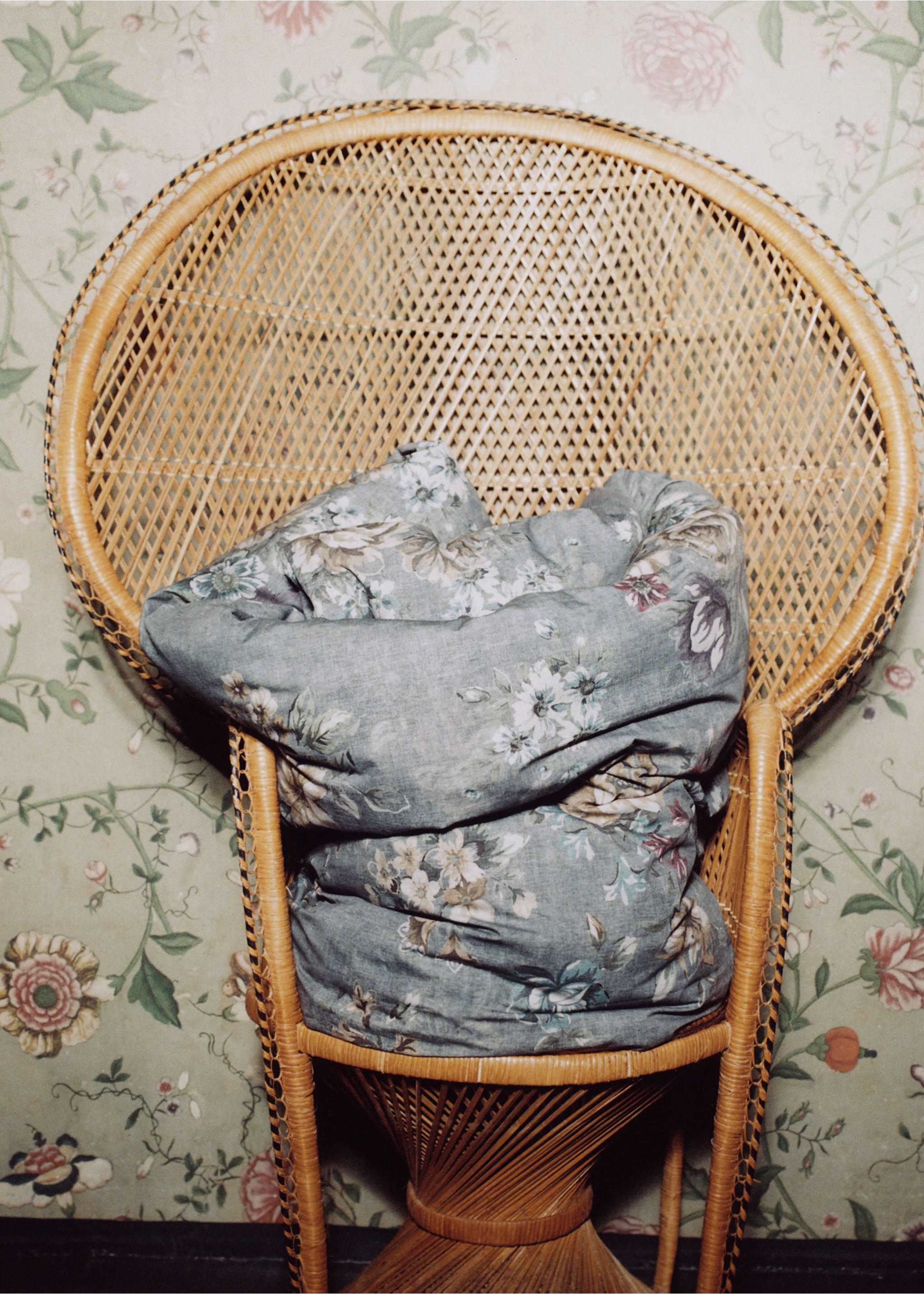 100% cotton floral duvet cover for 180/200 cm bed - Details of the article 5, Forest Green. Ref: 37004114-00.
