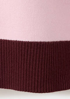 Striped polo neck sweater — Burgundy 6