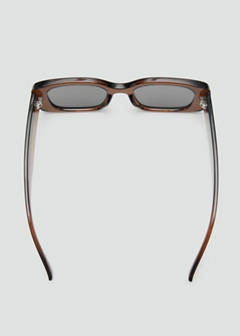 Resin frame sunglasses — Brown 3