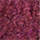 Colour Burgundy selected