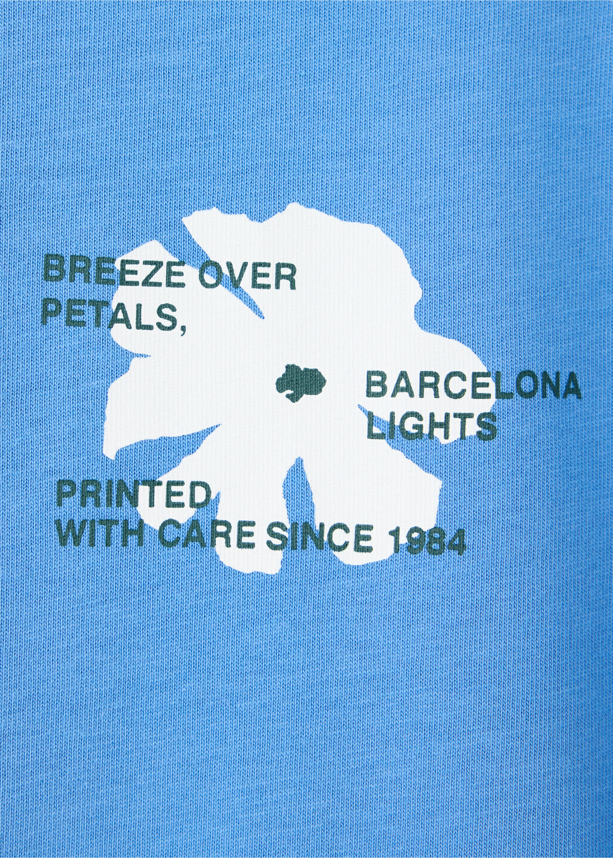 100% cotton printed t-shirt - Details of the article 0, Blue. Ref: 37014472-00.