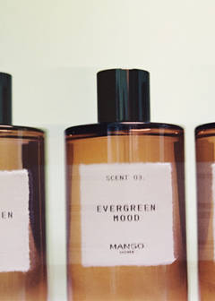 (99,95€/L) Raumspray EVERGREEN MOOD 200 ml — Braun 1