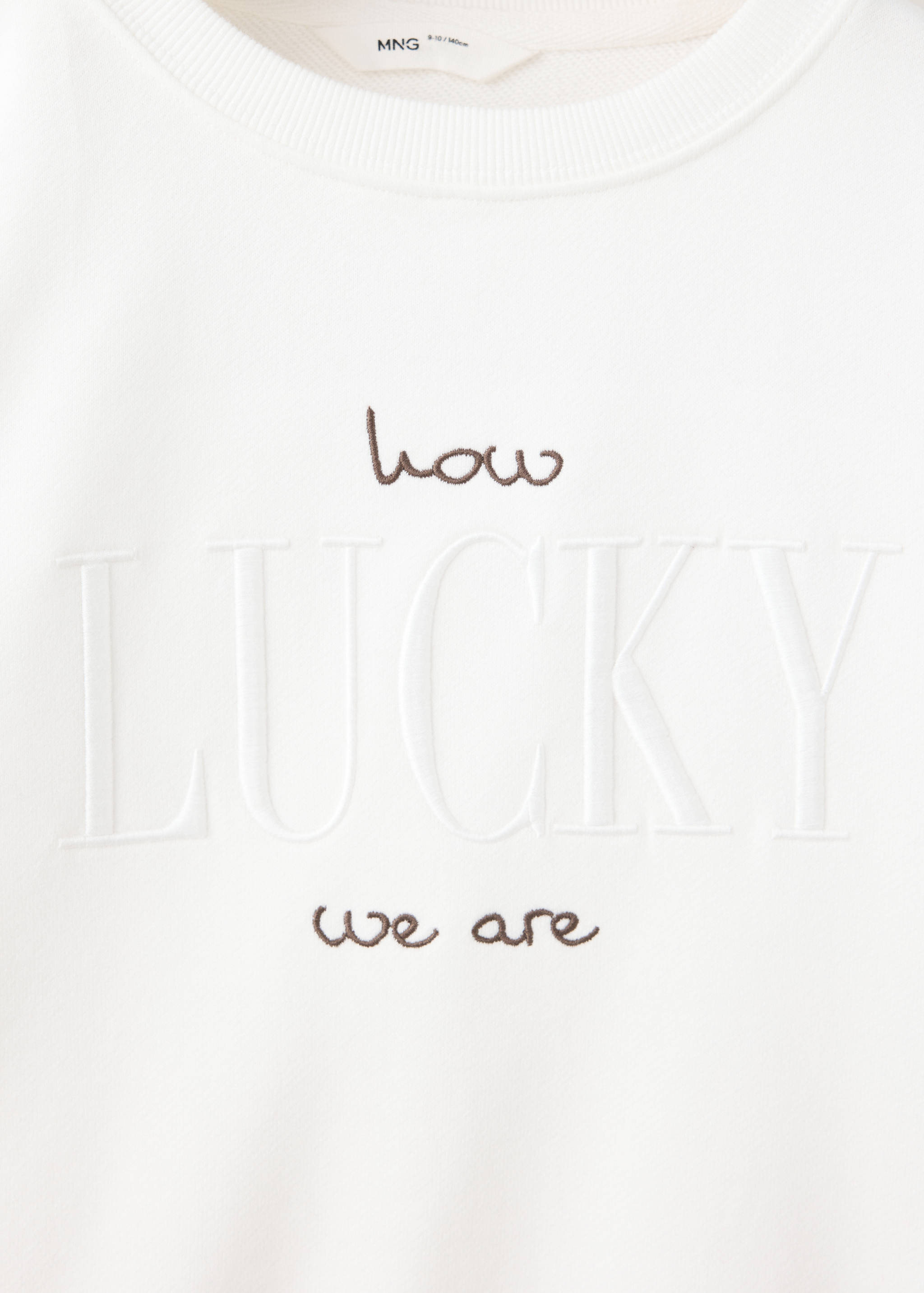 Sweatshirt with embroidered detail - Details of the article 8