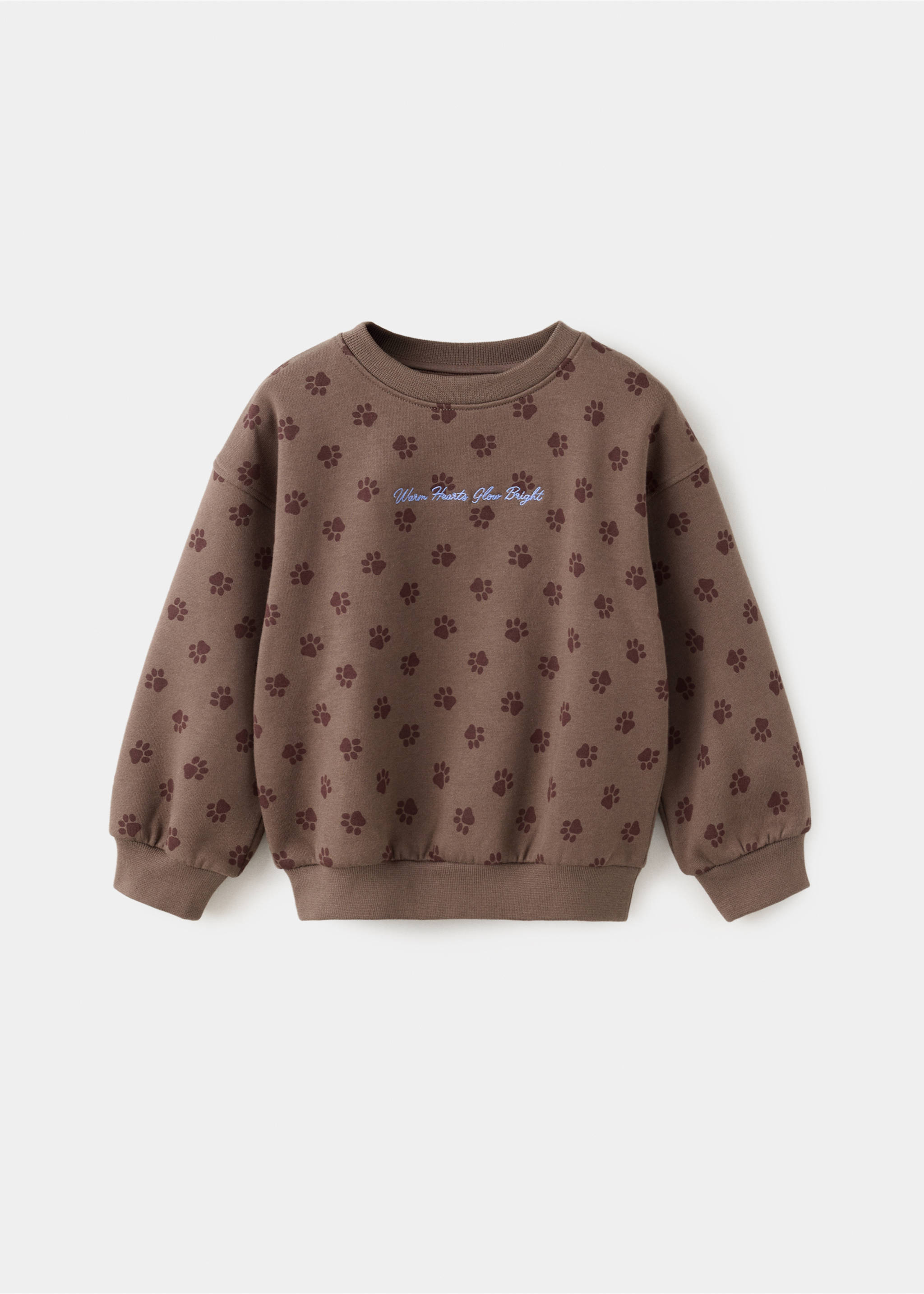 Printed sweatshirt with embroidered detail - Article without model, Brown. Ref: 37015173-00.